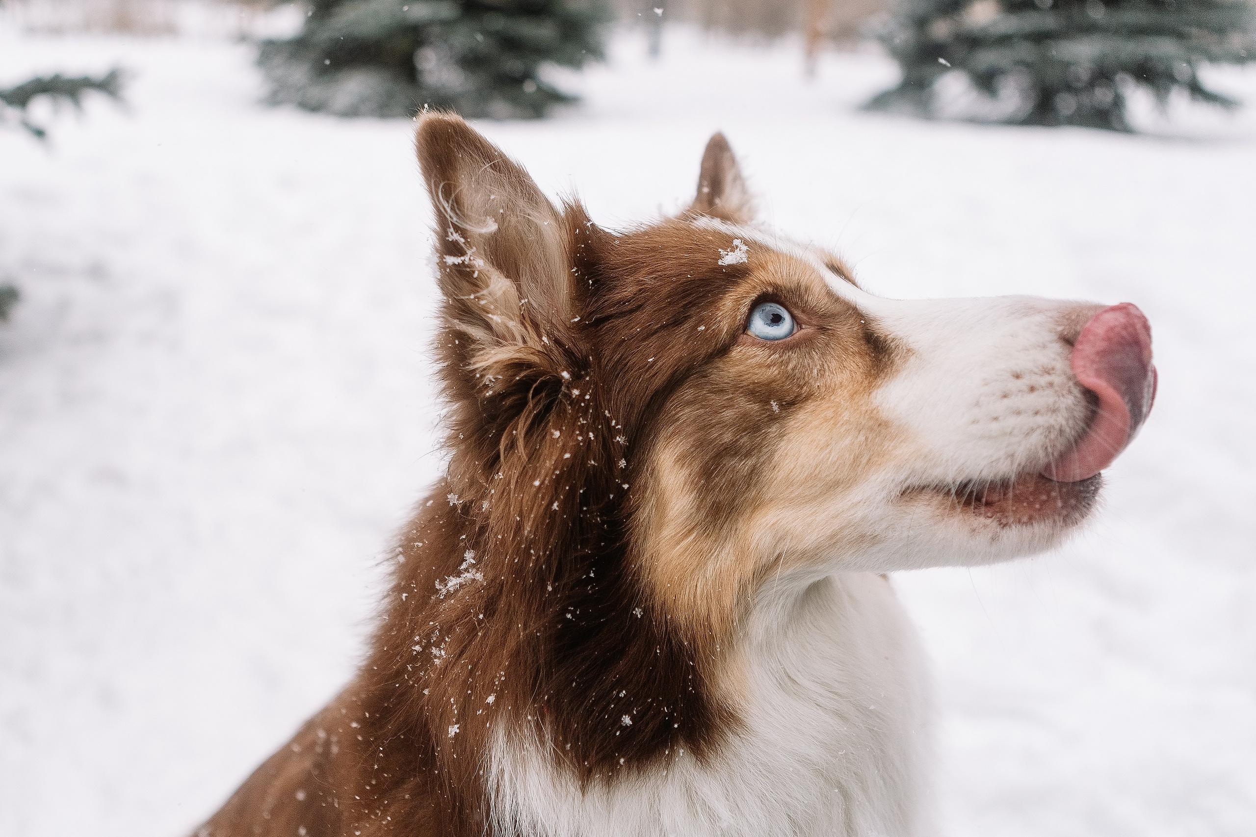 Татьяна. Семейный и портретный фотограф в Санкт-Петербурге
