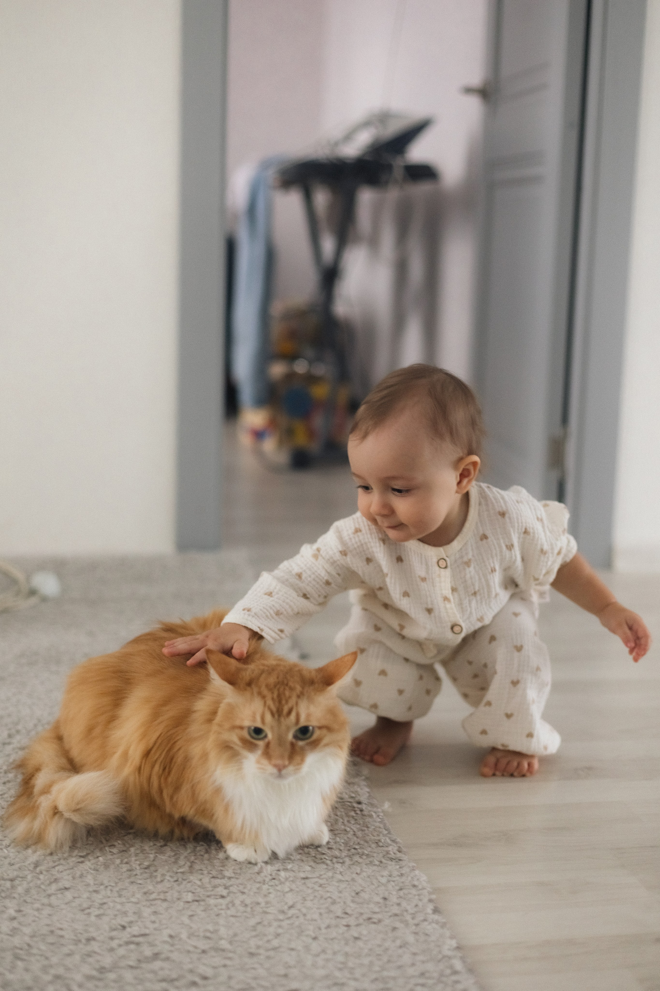 Дома. Фотограф из Петербурга