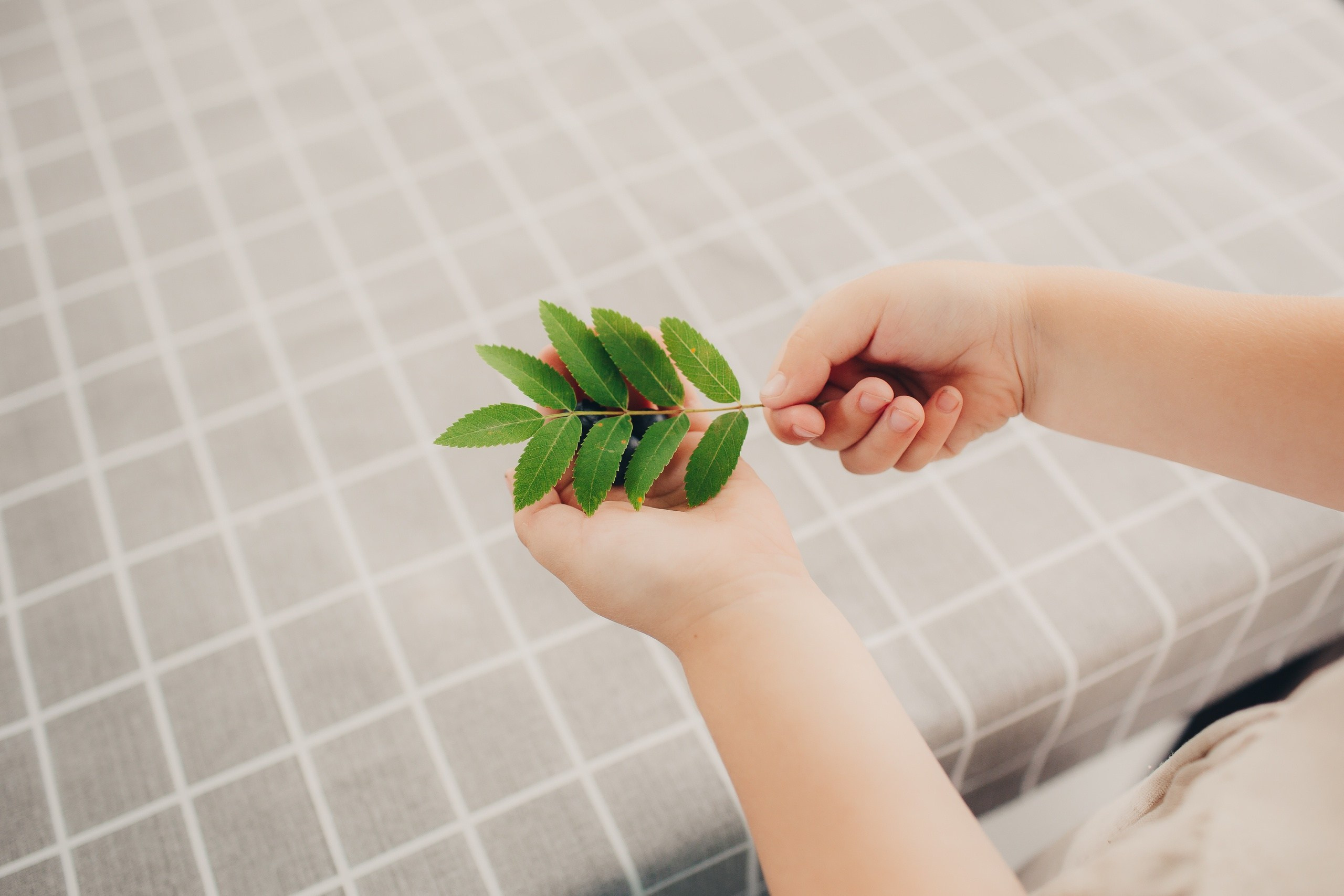 Семейная фотосессия в деревне. Фотограф Евгения Мальцева, Архангельск