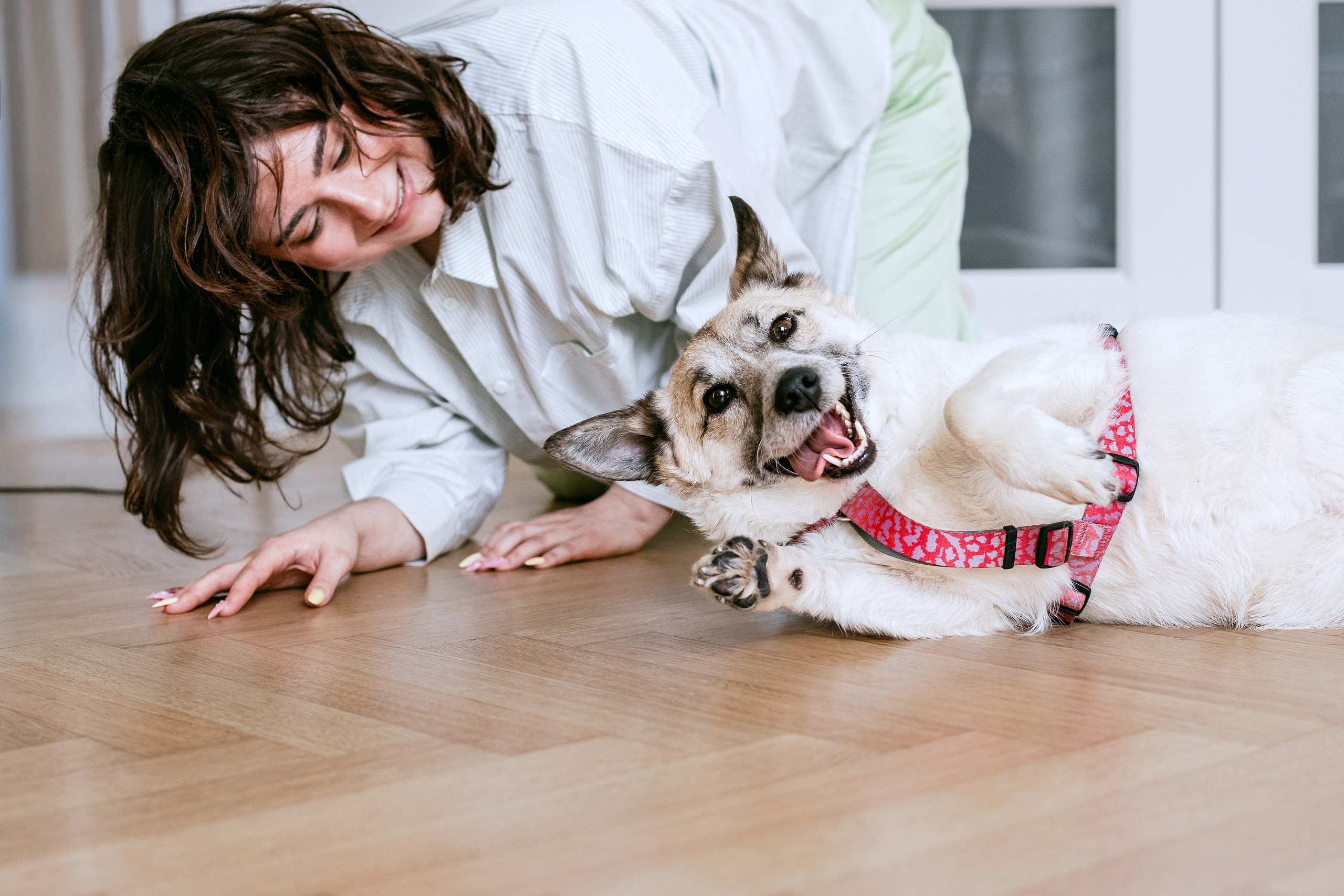 Студия лето 2025. Фотограф-анималист Татьяна Степанова