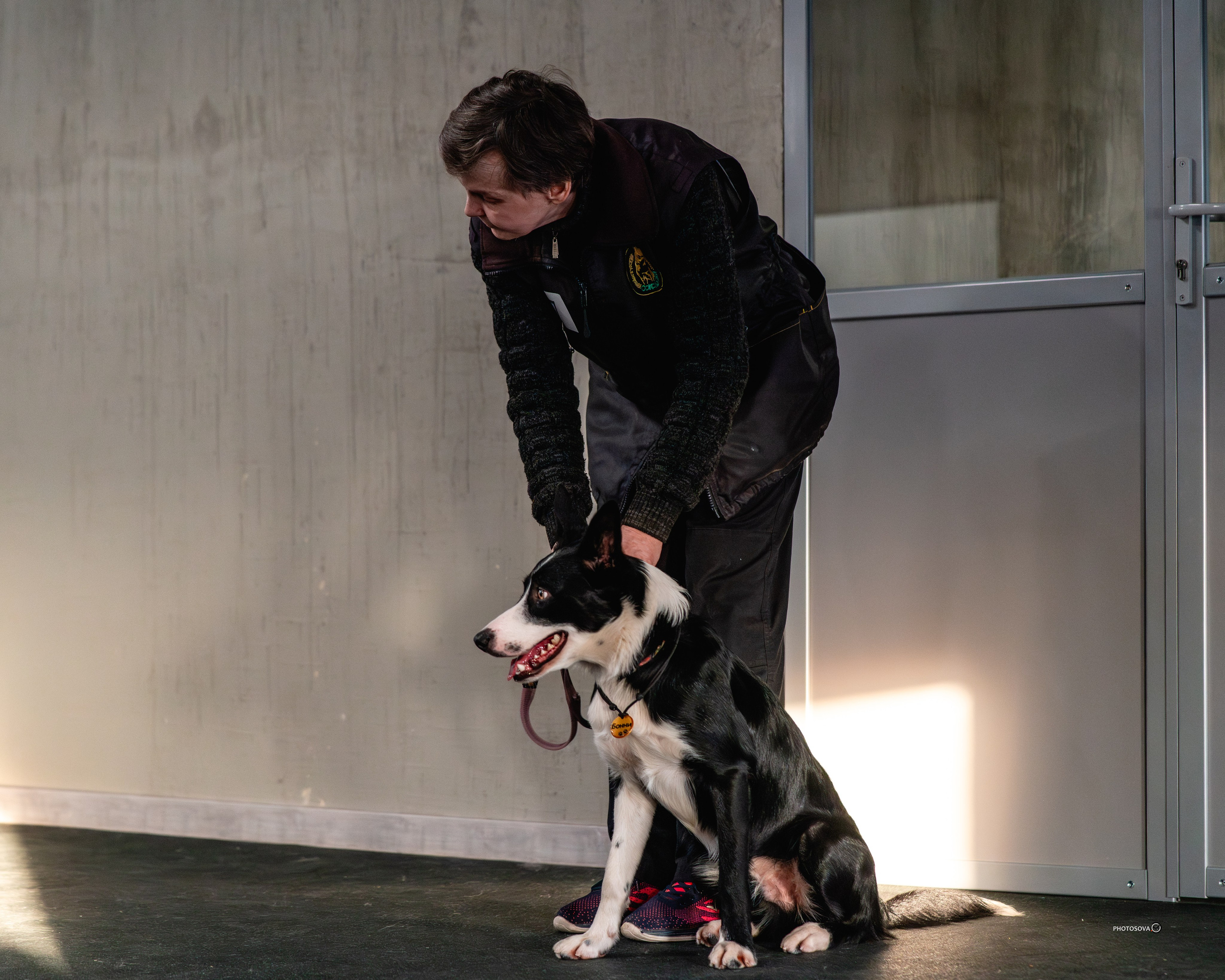 ТЫ И Я (соревнования по ралли-обидиенс). Фотограф-анималист, семейный фотограф в Москве и Подмосковье. Фотосъёмка кинологических дисциплин