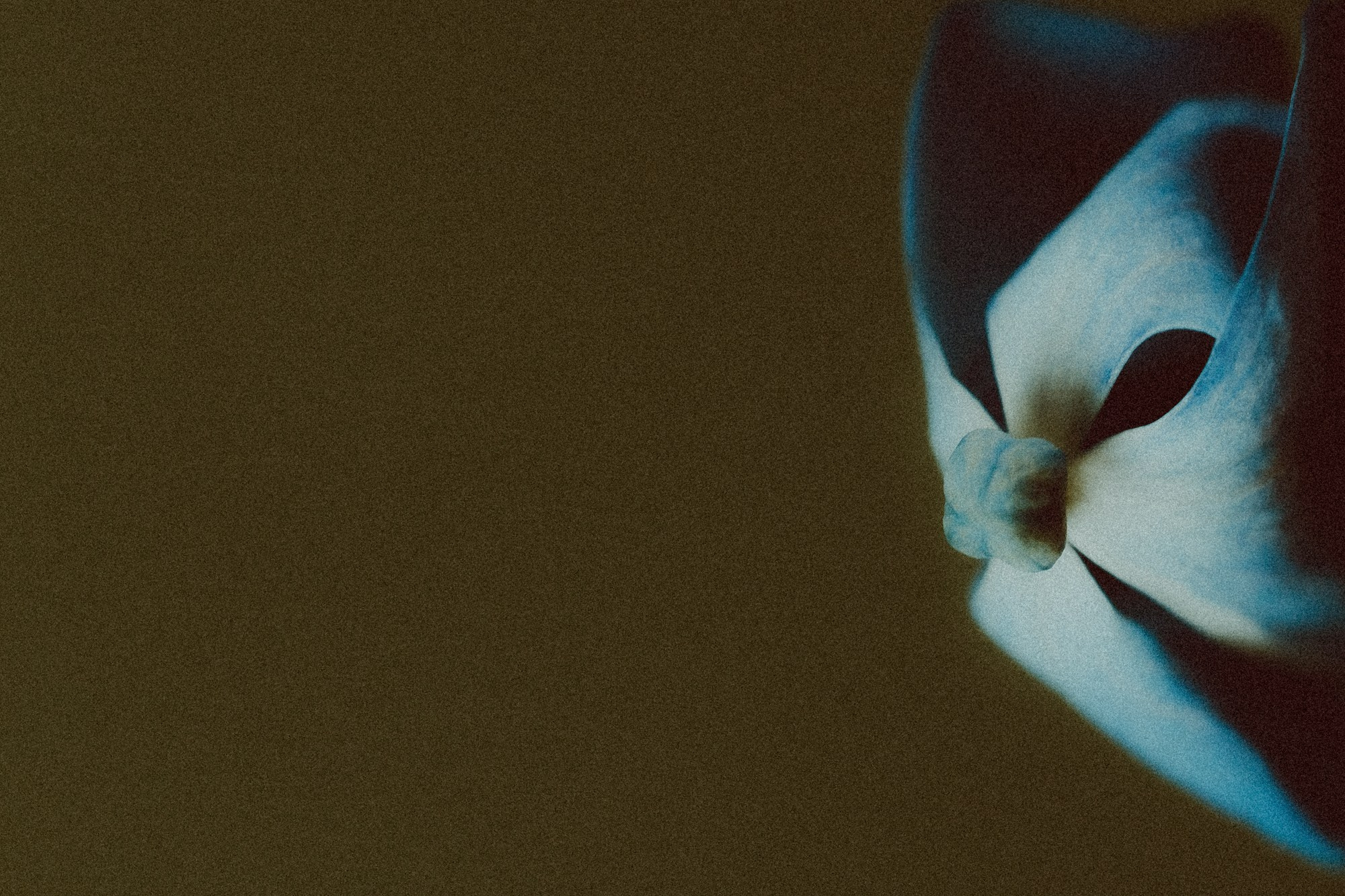 Свадебный фотограф Октябрьский Башкортостан