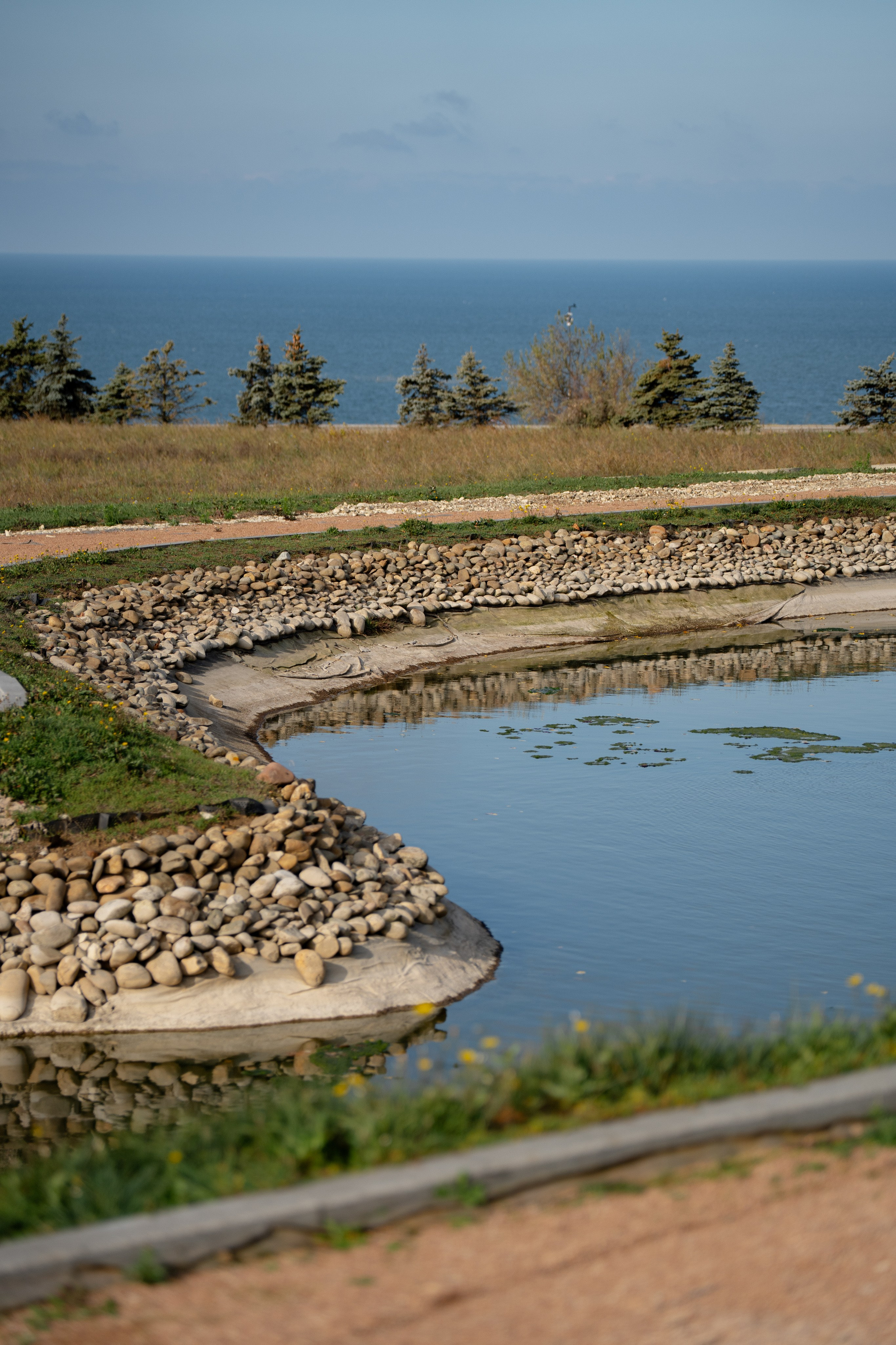 Ярослав и Полина. Карпенко Марина свадебный и семейный фотограф Анапа, Краснодар, Геленджик, Сочи, Темрюк