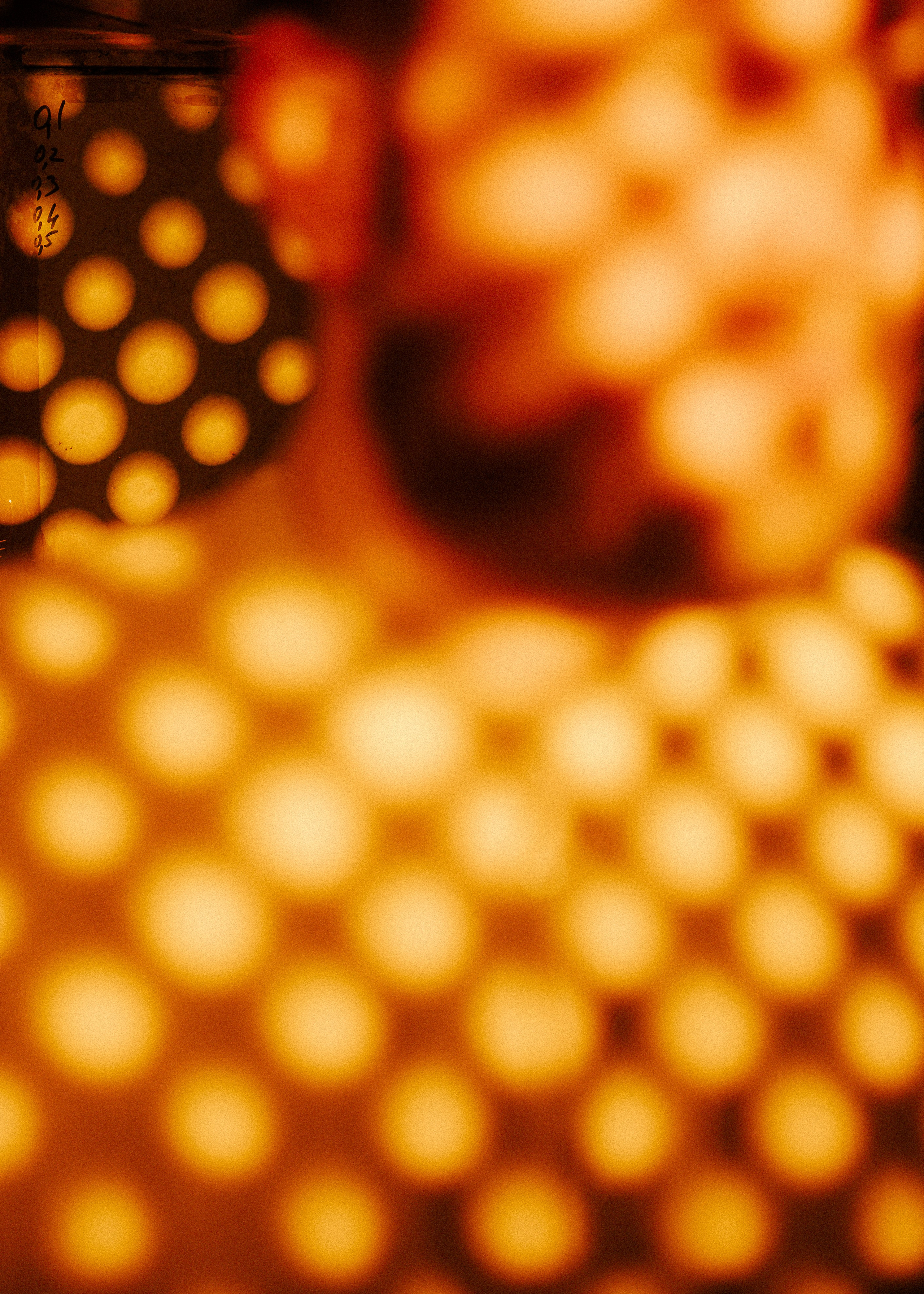 Саша Ковальчук — Репортажный Фотограф