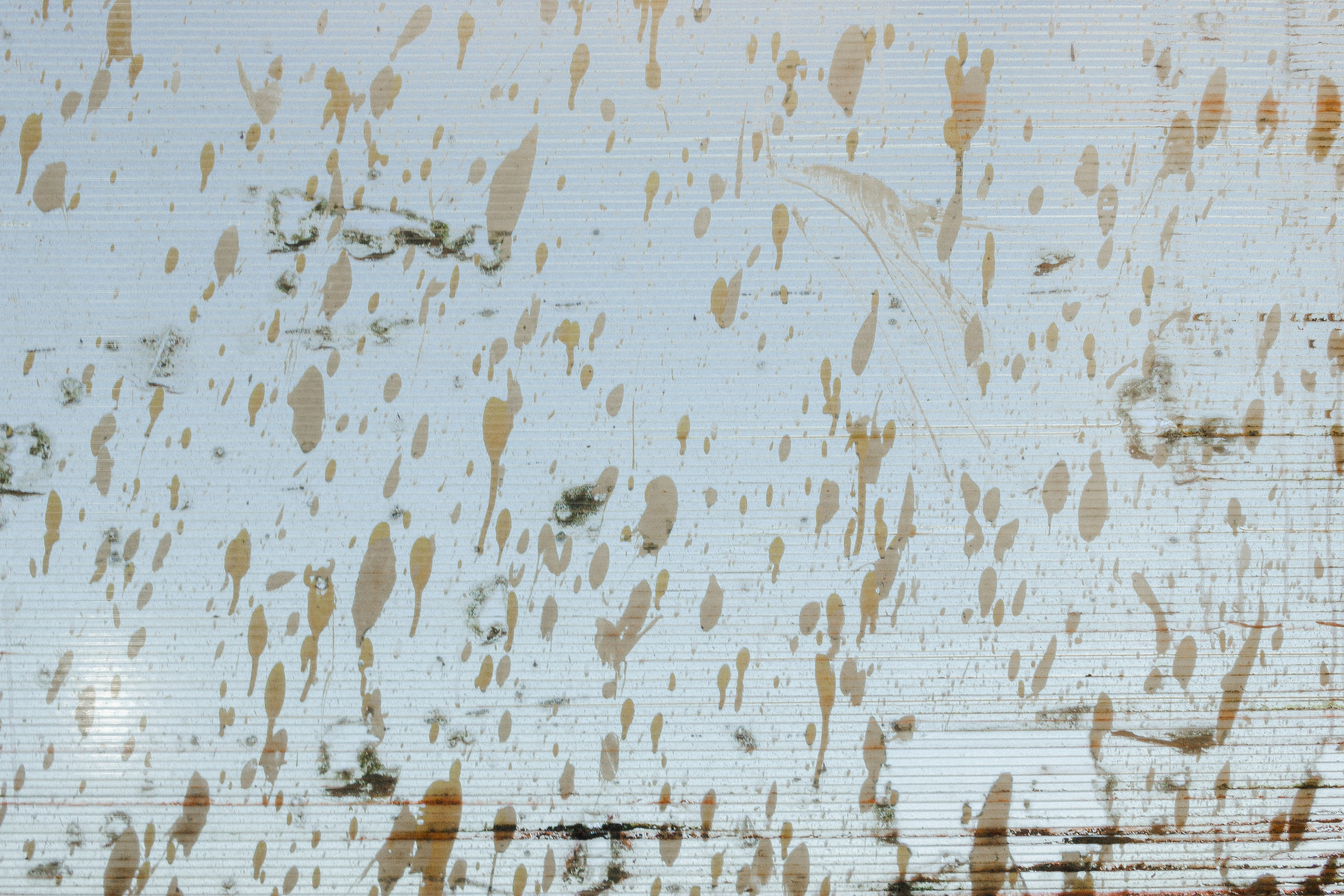 Стрит на каждый день