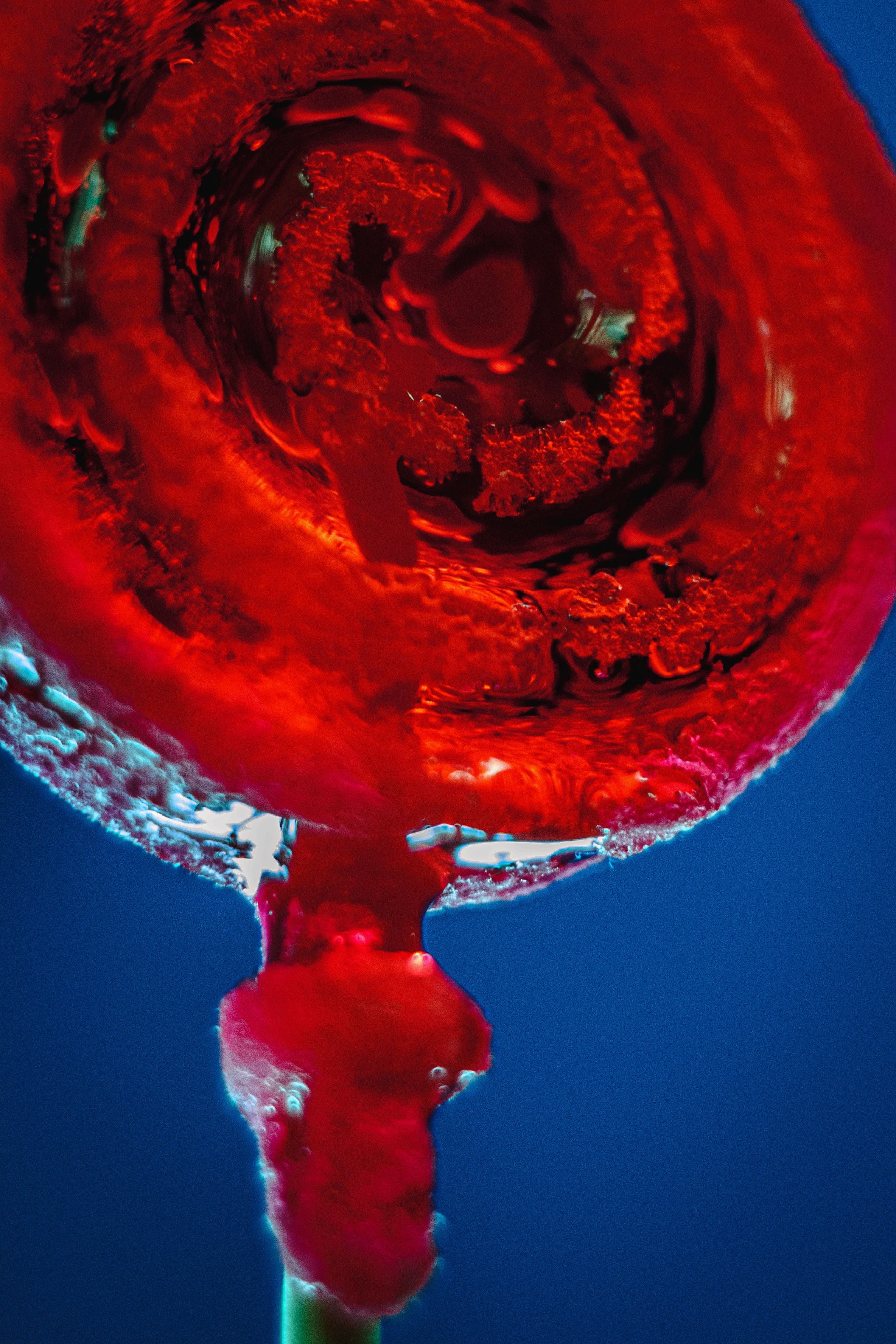 Zoya Smirnova|Visual Artist & Director. Zoya Smirnova | Visual Artist & Director