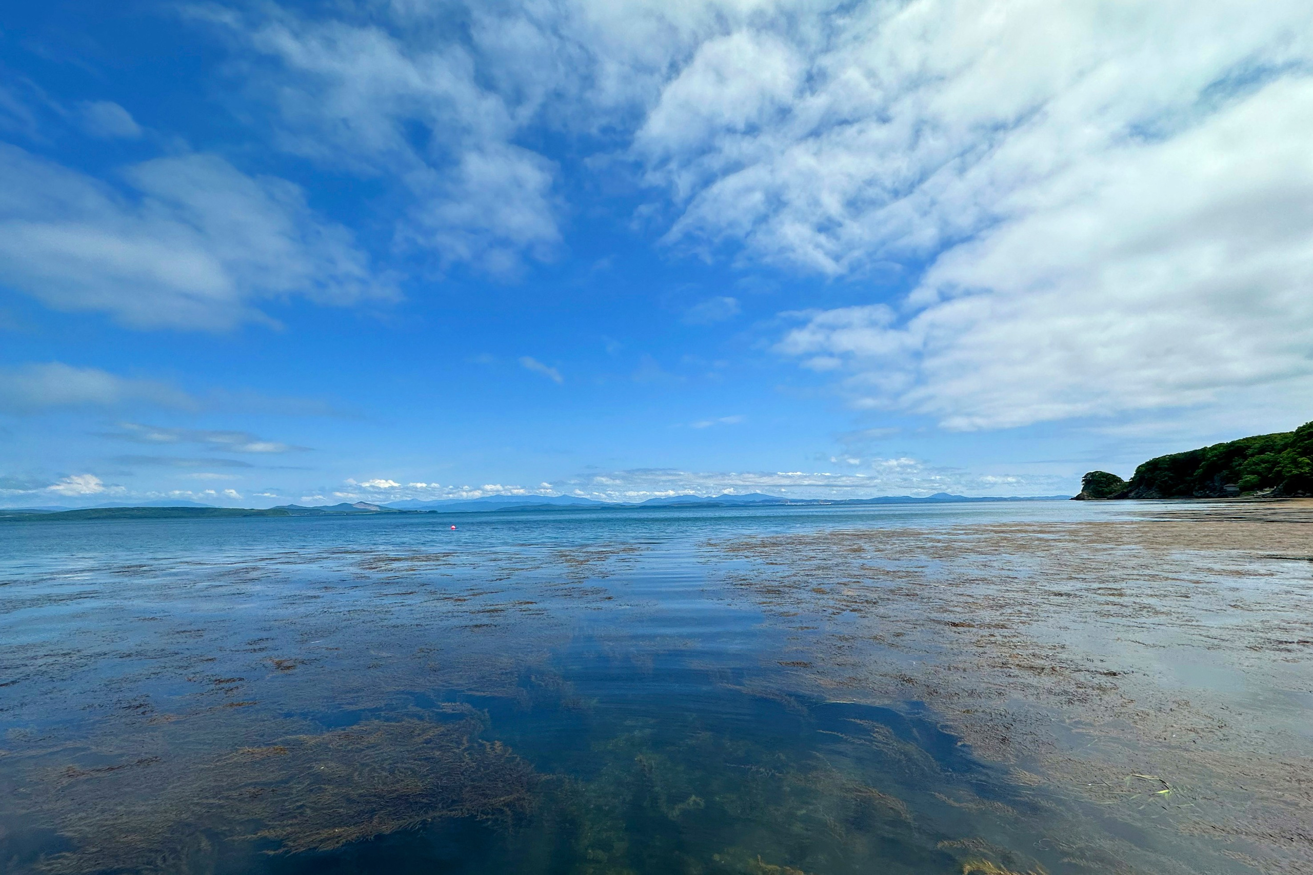 Природа. Команда фотографов Кристины Ивановой