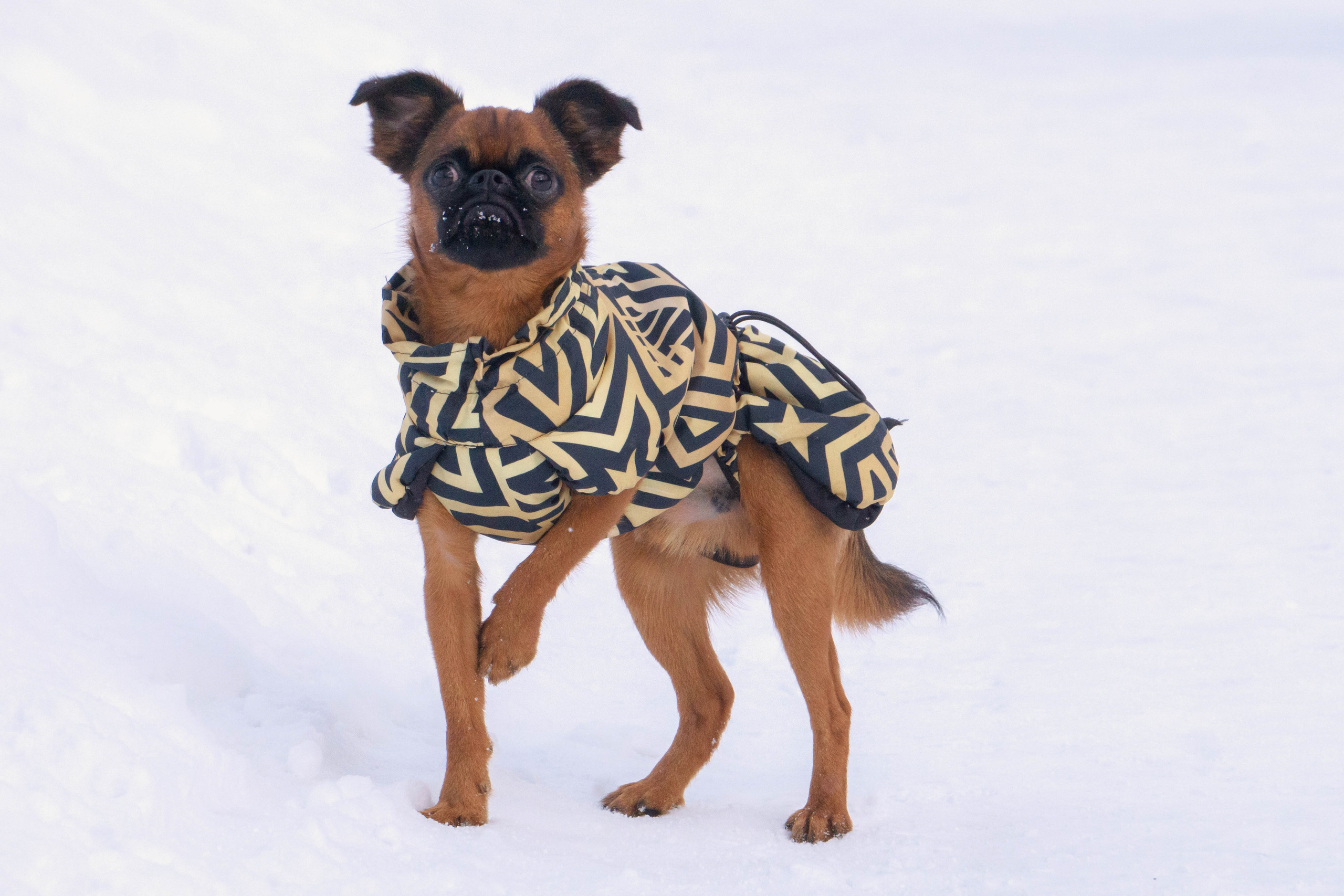 Надя и Ефим. Фотограф-анималист Ксения Воробьева, Москва
