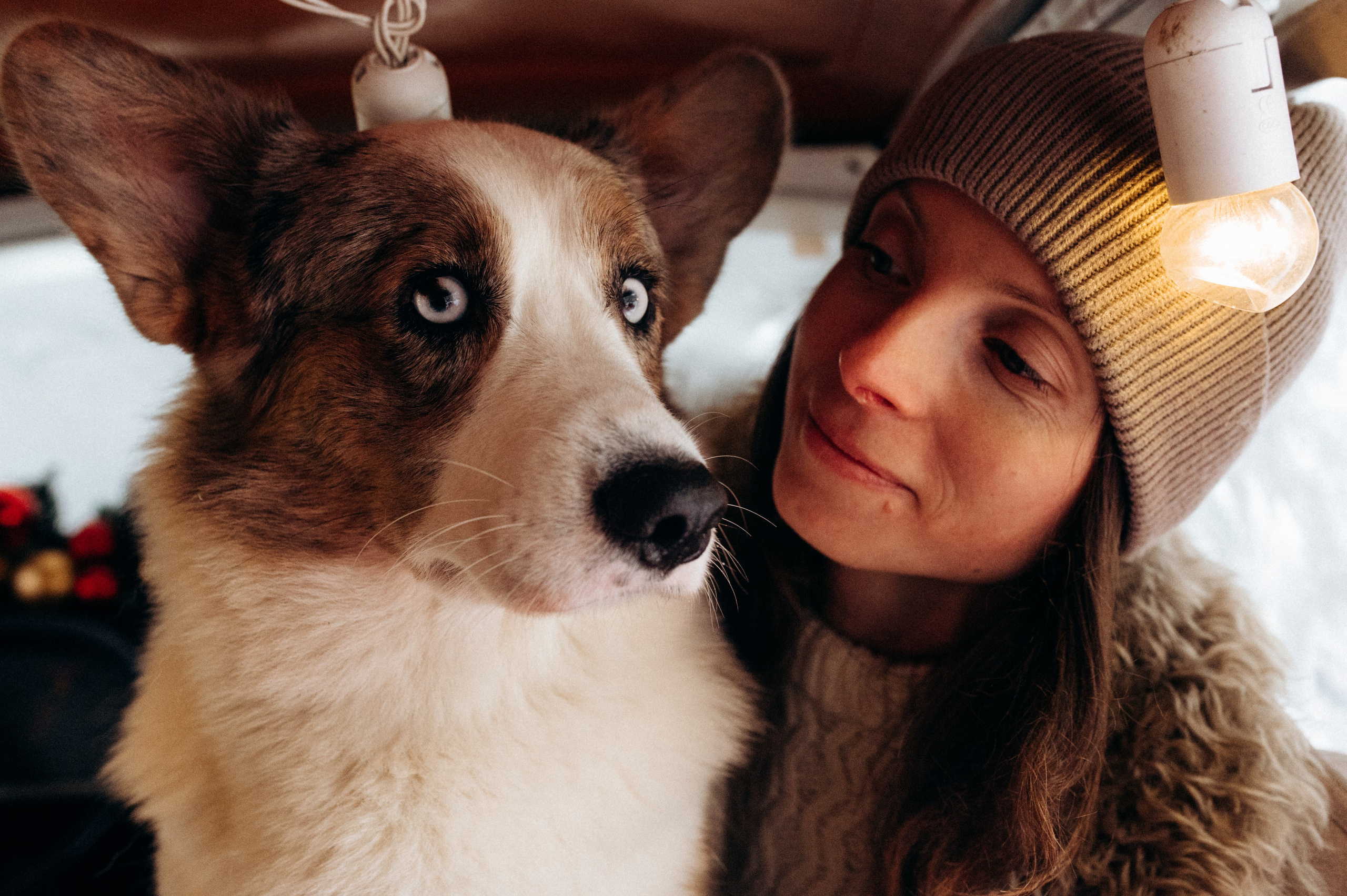 Маша и Дэф. Фотограф анималист в Москве Ольга Агушева