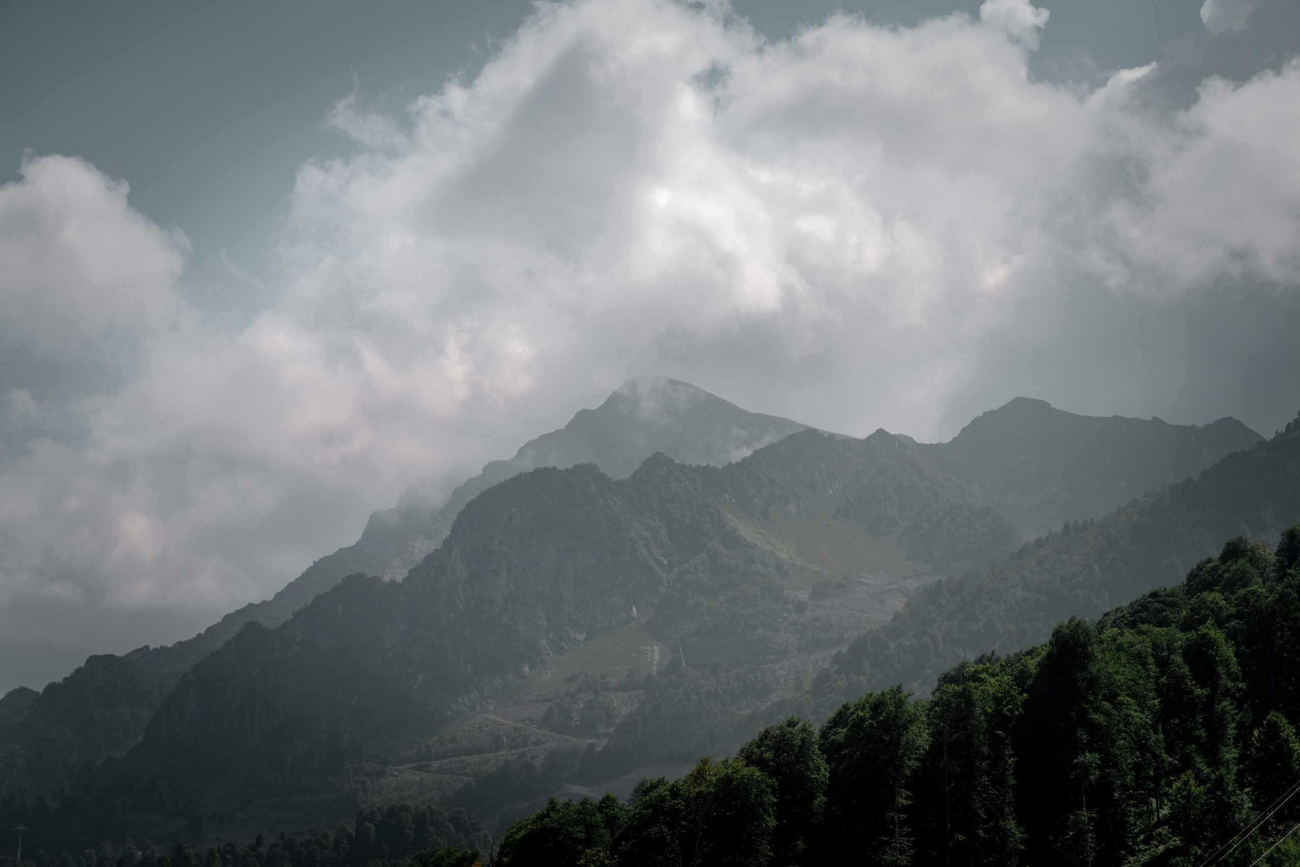Сочи. Фотограф Александра Волкова | Волгоград