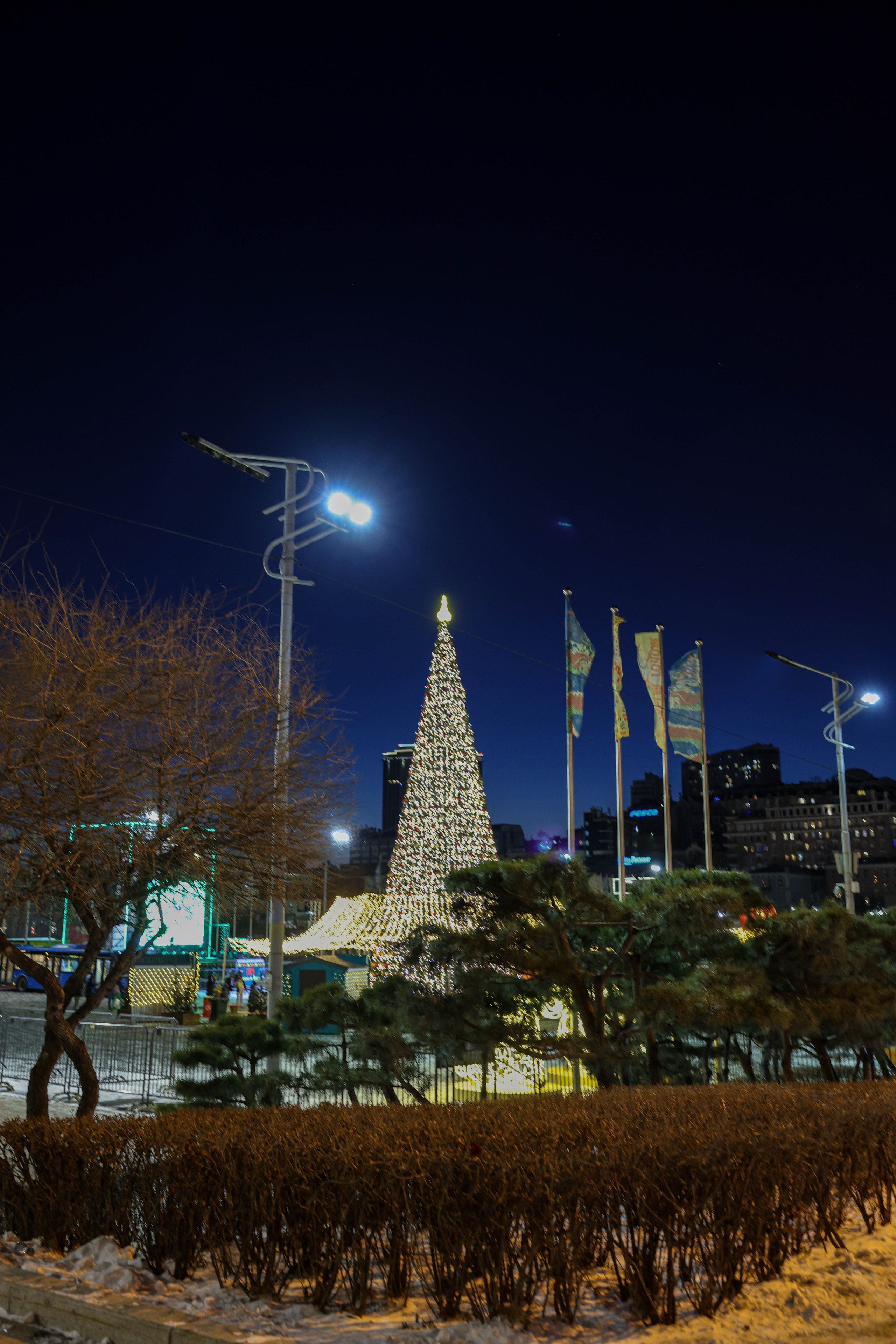 Центральные улицы. Турист оптимист