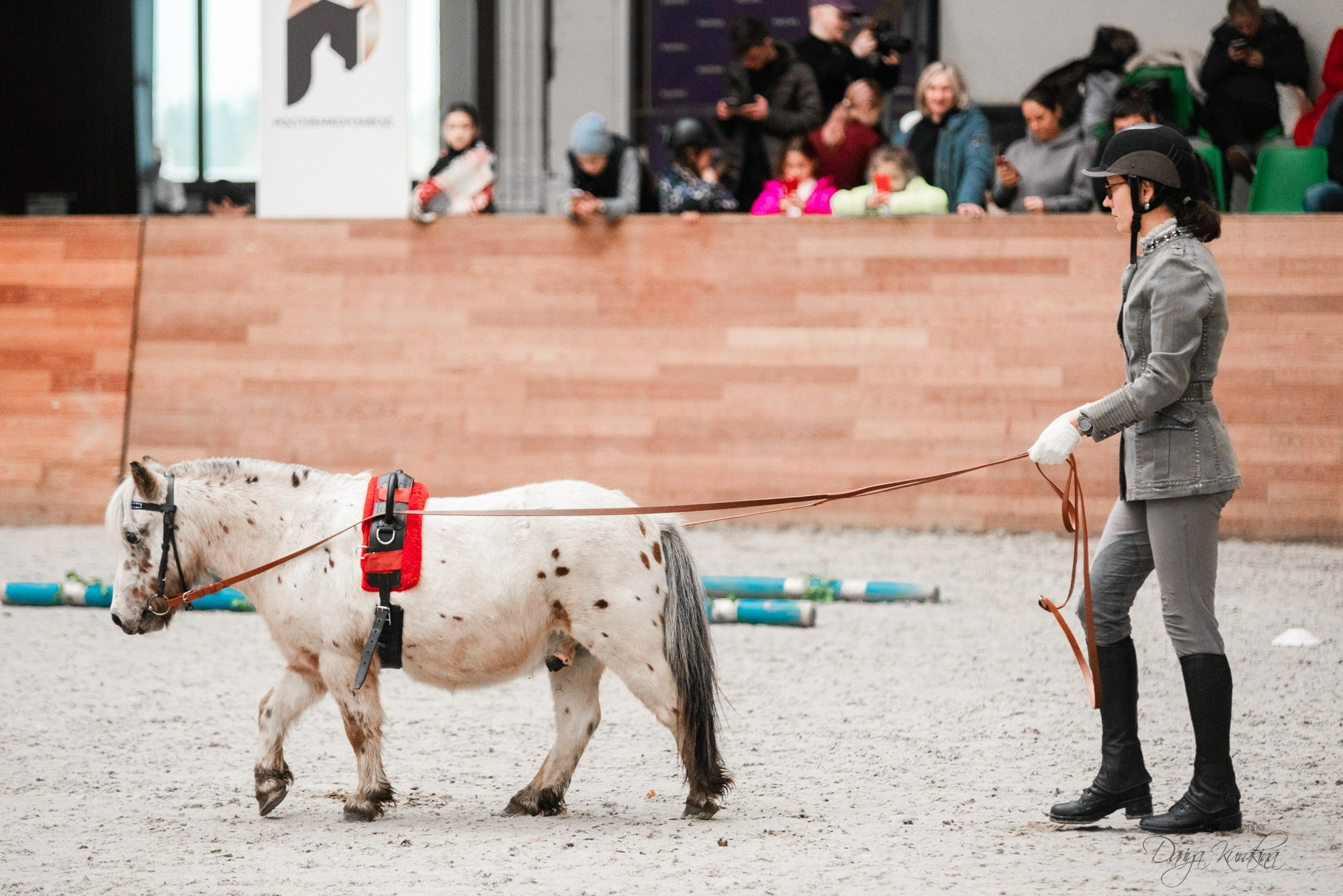 8-я международная выставка Конная Россия. Конный фотограф Куракина Дарья • Фотосессии с лошадьми