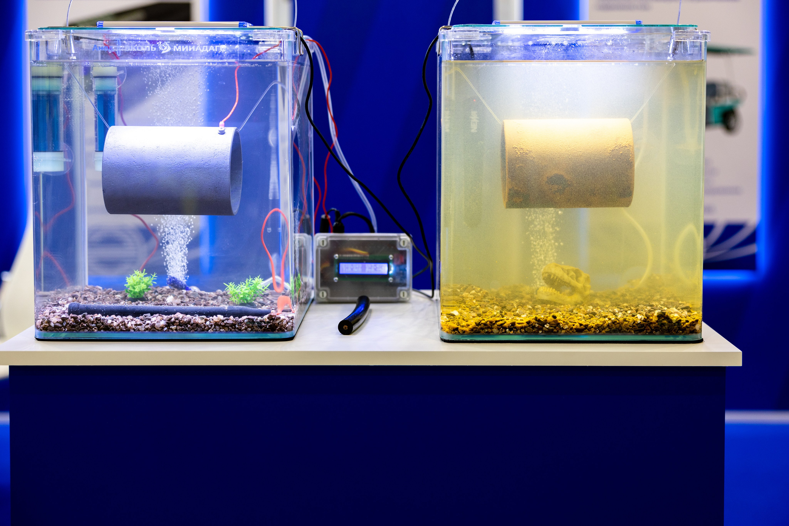 Выставка НЕВА 2025. Репортажный фотограф Санкт-Петербург | Роман Карбышев