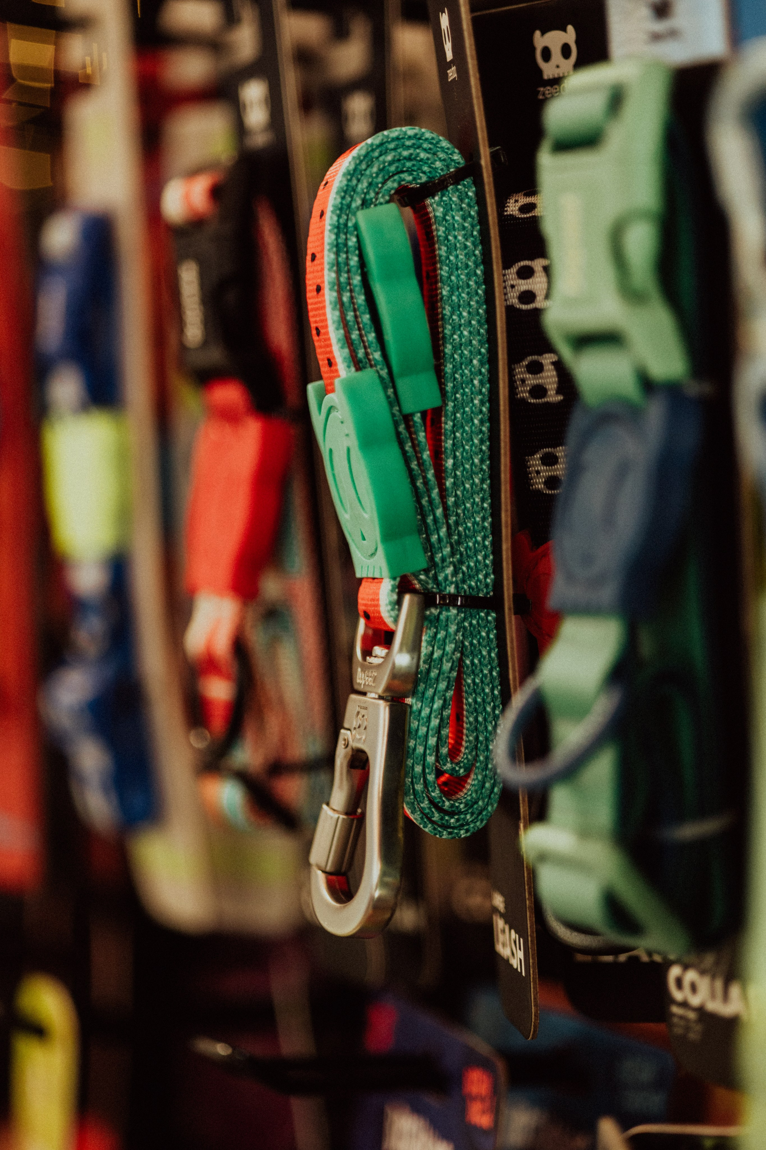 CBcon. Фотограф анималист в Москве Майорова Евгения