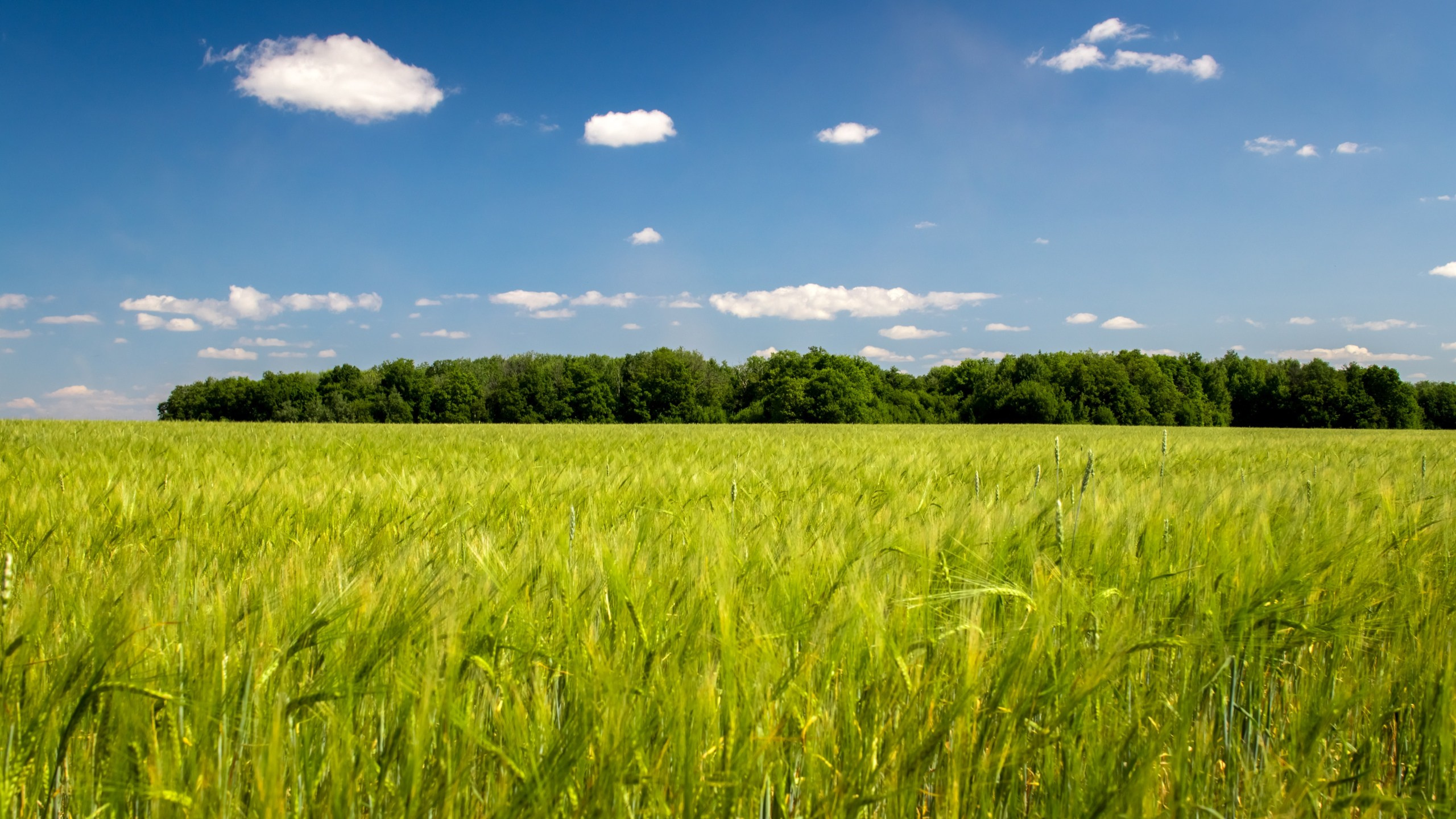 Пейзажная фотосъемка. Владимир Суздалов (ProMaXe) — Портретный фотограф, тематические фотосессии в Чебоксарах