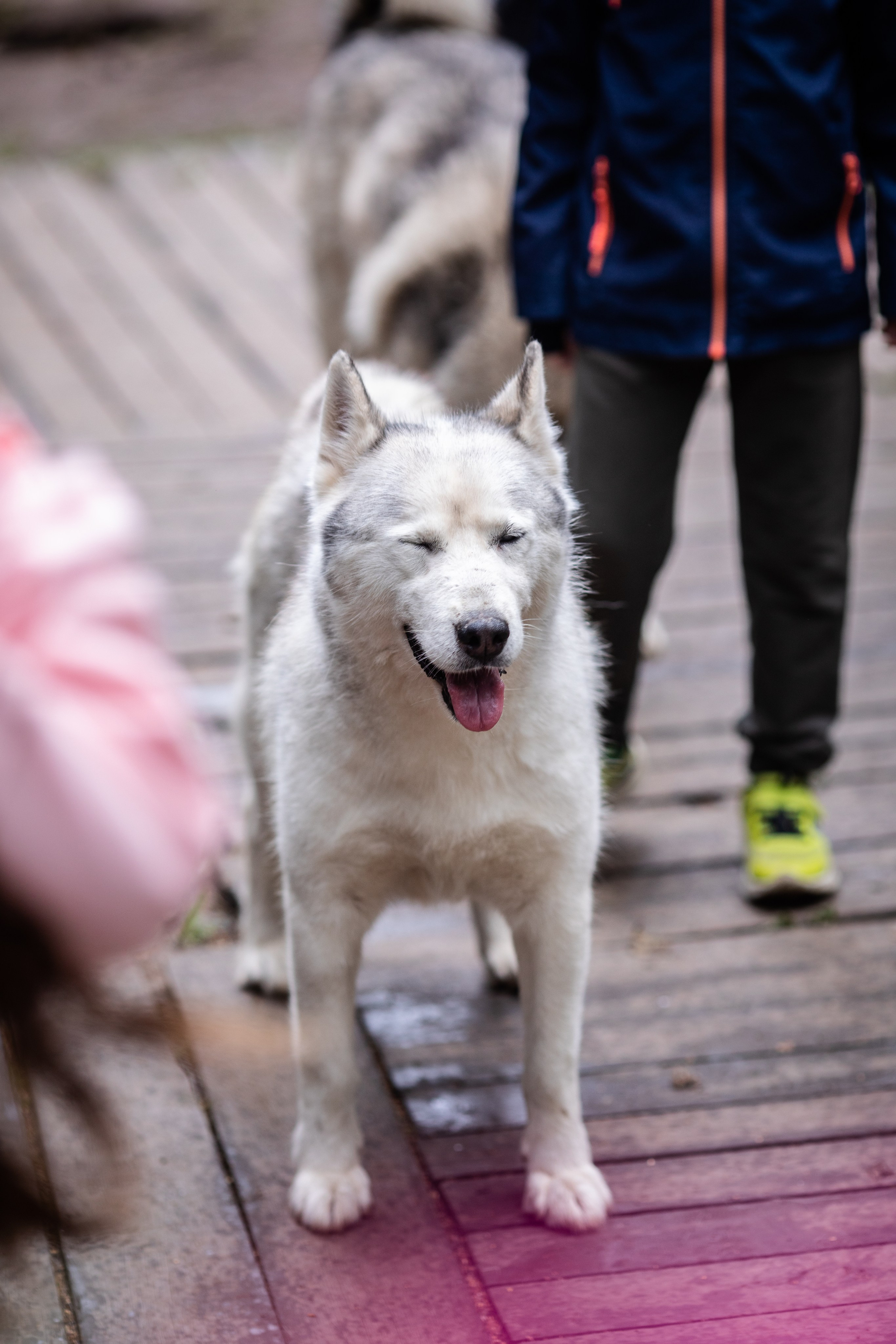 Корпоративный тимбилдинг — «Монтажный горизонт». Репортажный и свадебный фотограф в Челябинске Елисеев Павел