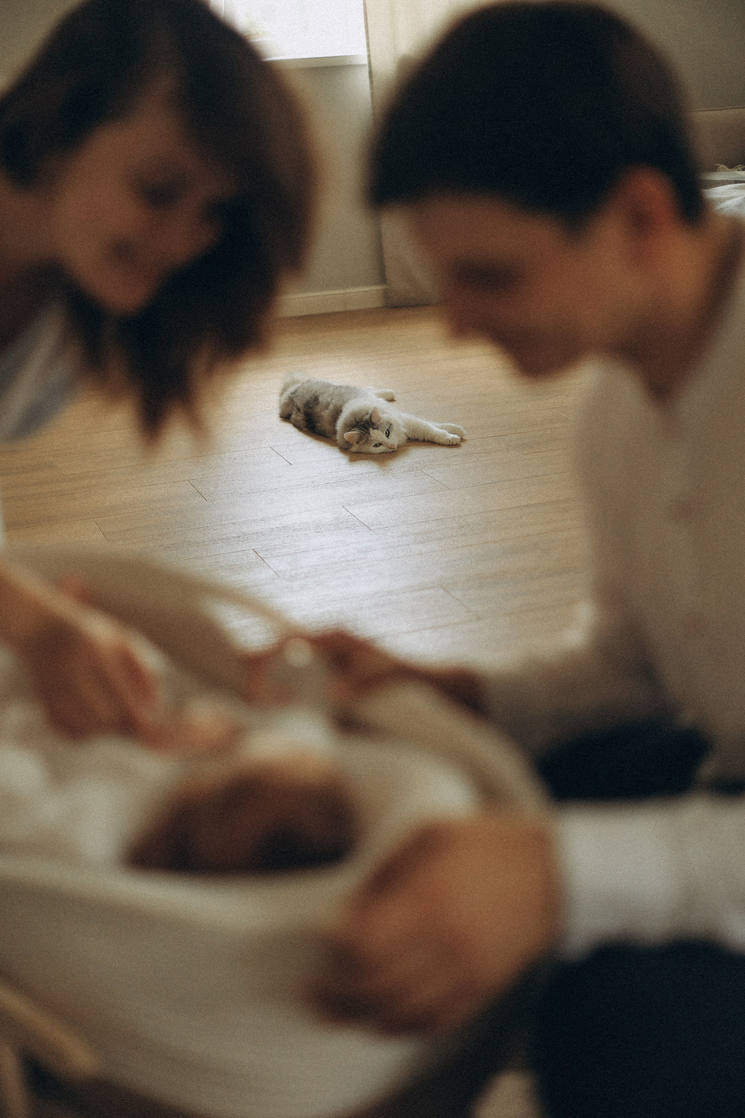 Настя, Саша и Василиса