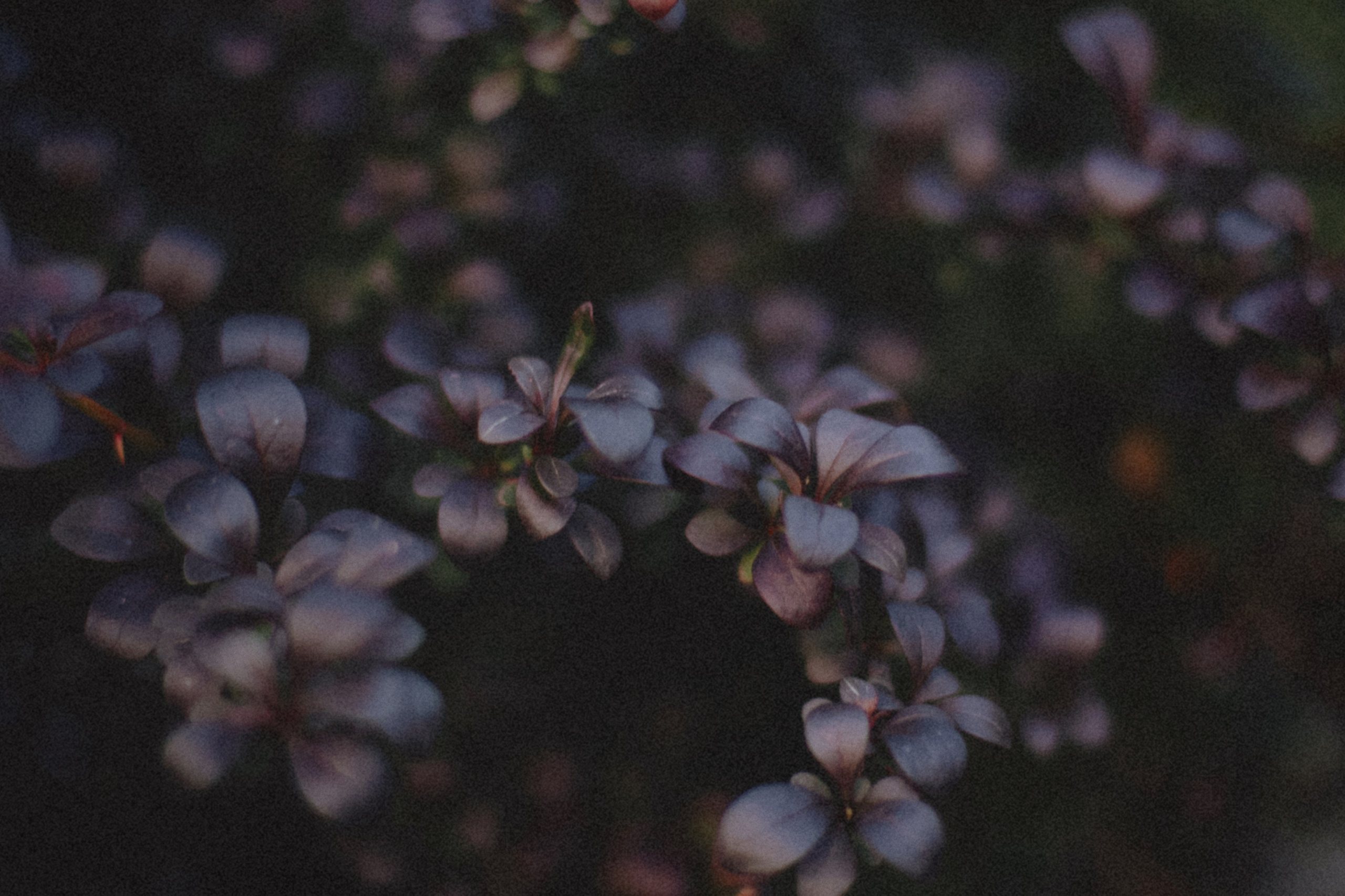 / P r o d u c t /. Nadi Sapunova photographer & visual storyteller