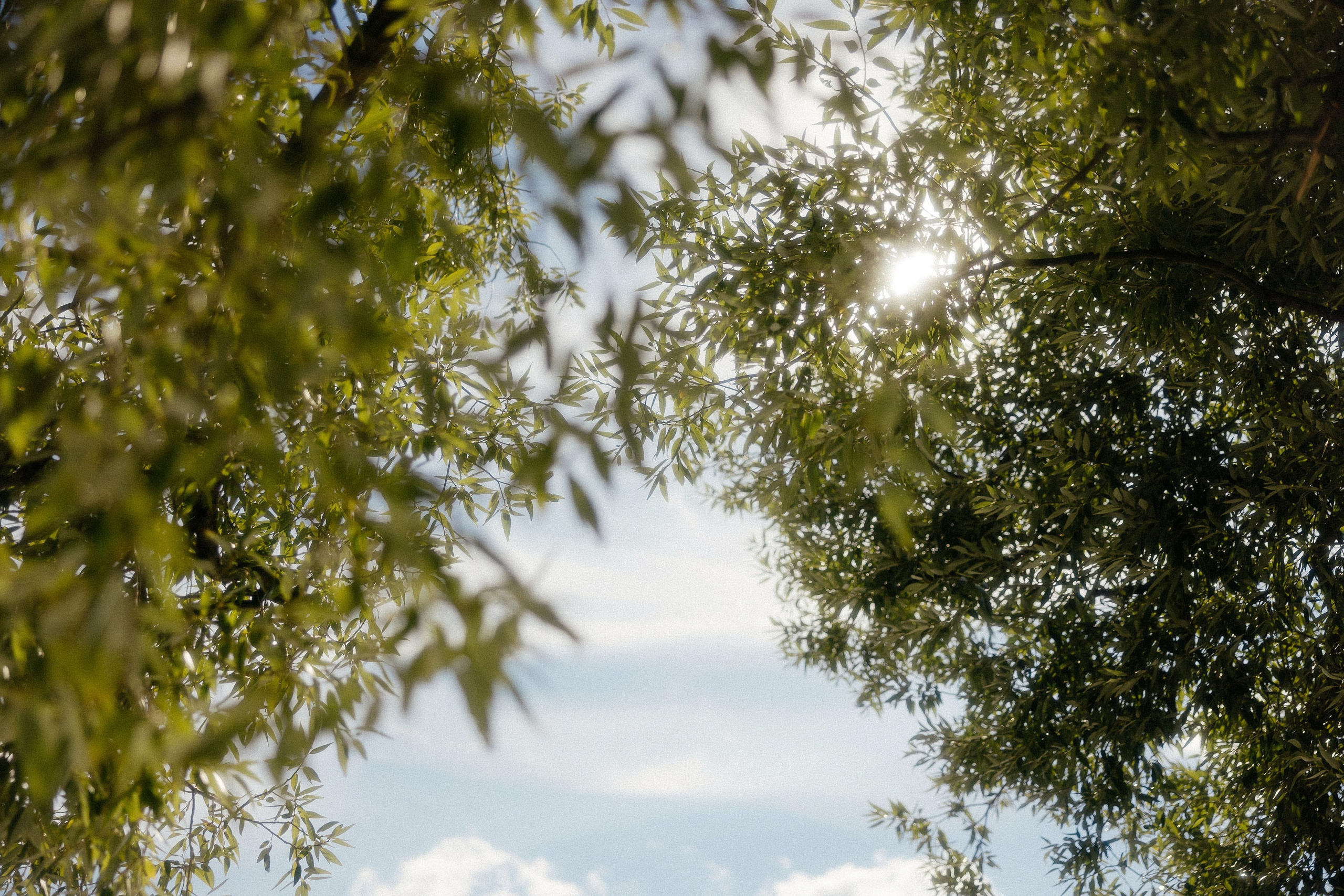 Ты- мое солнышко. Свадебный фотограф в Москве