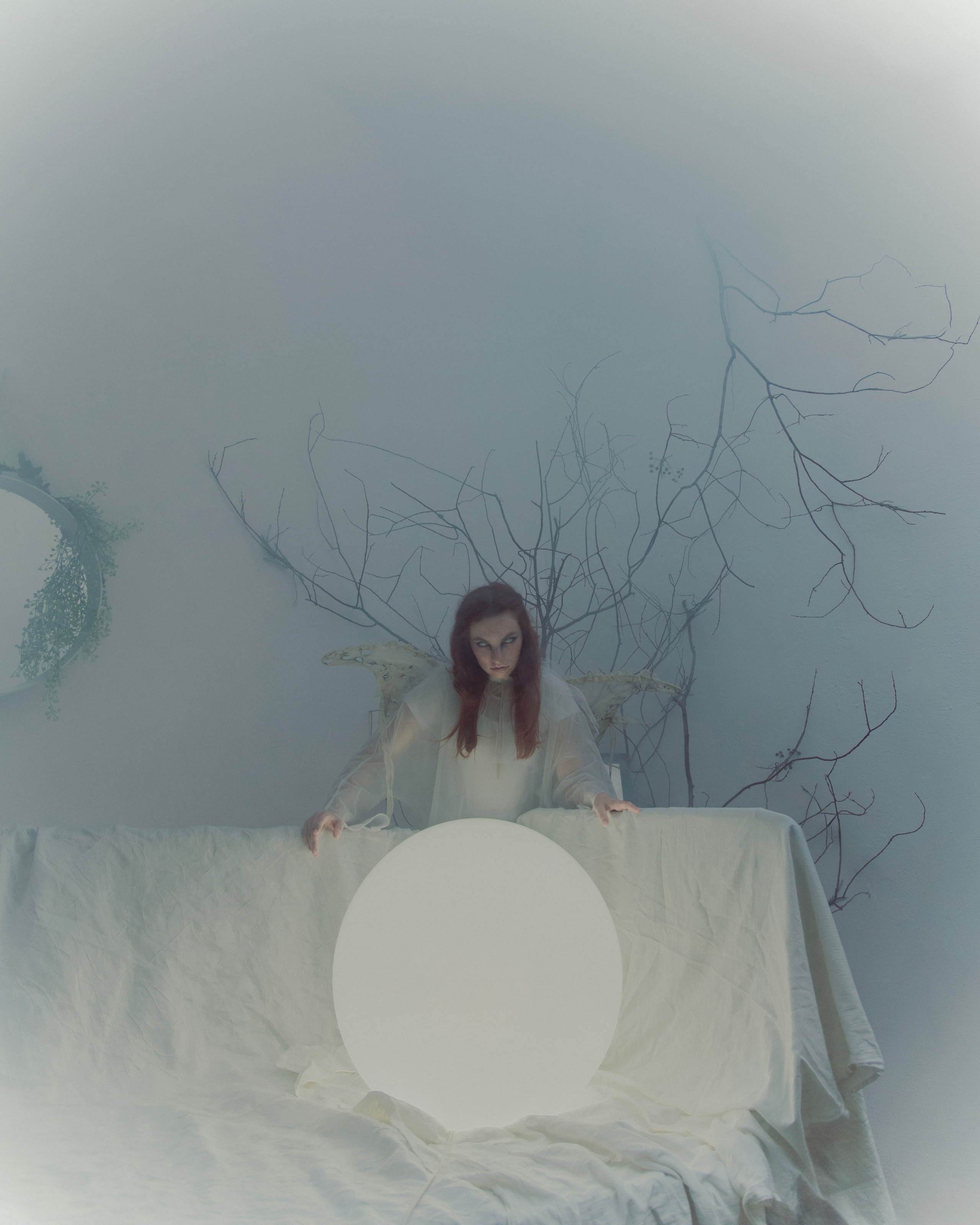 Мотылек. Фотограф Anita Mivchas