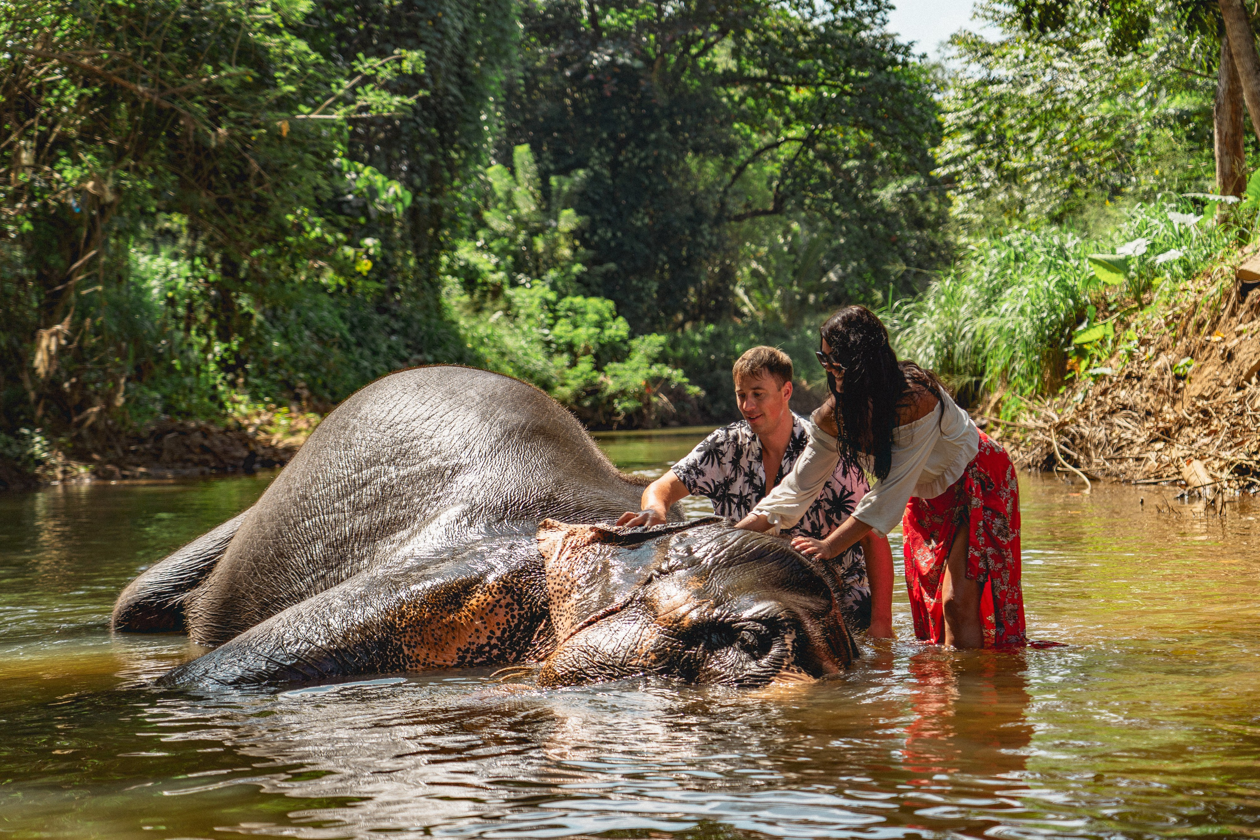 Bathing with elephants in Pinnawala, Botanical Garden