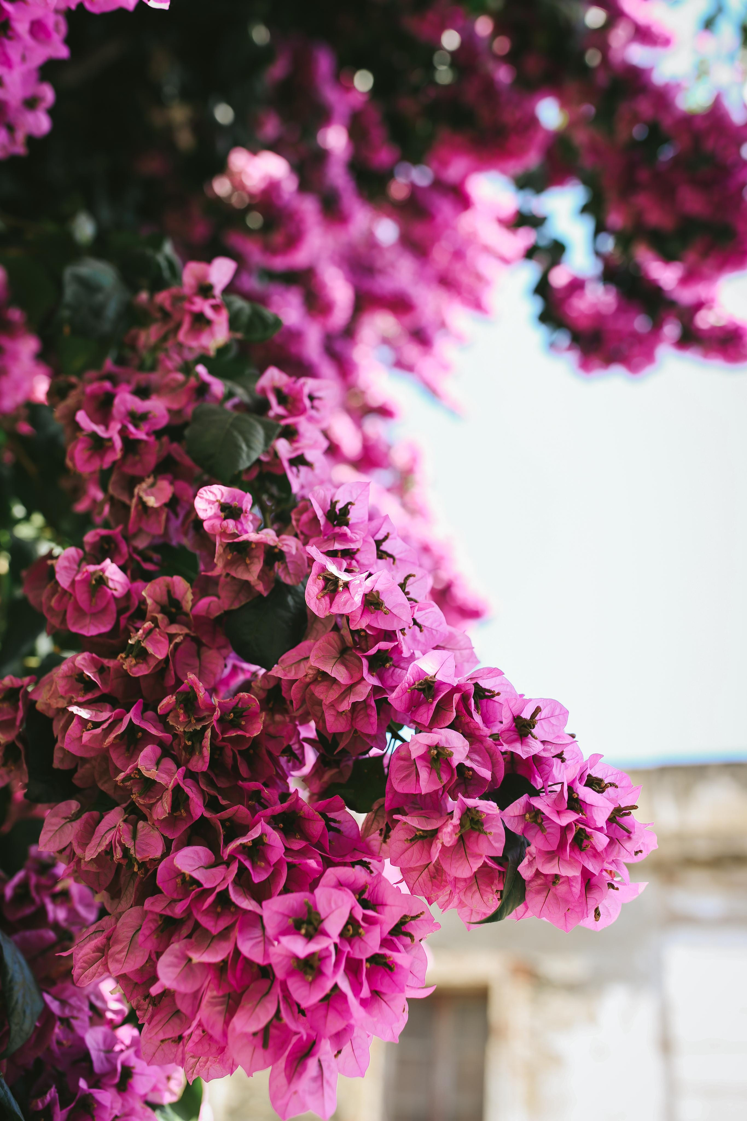 South Spain & France. Ekaterina Buneeva Photography