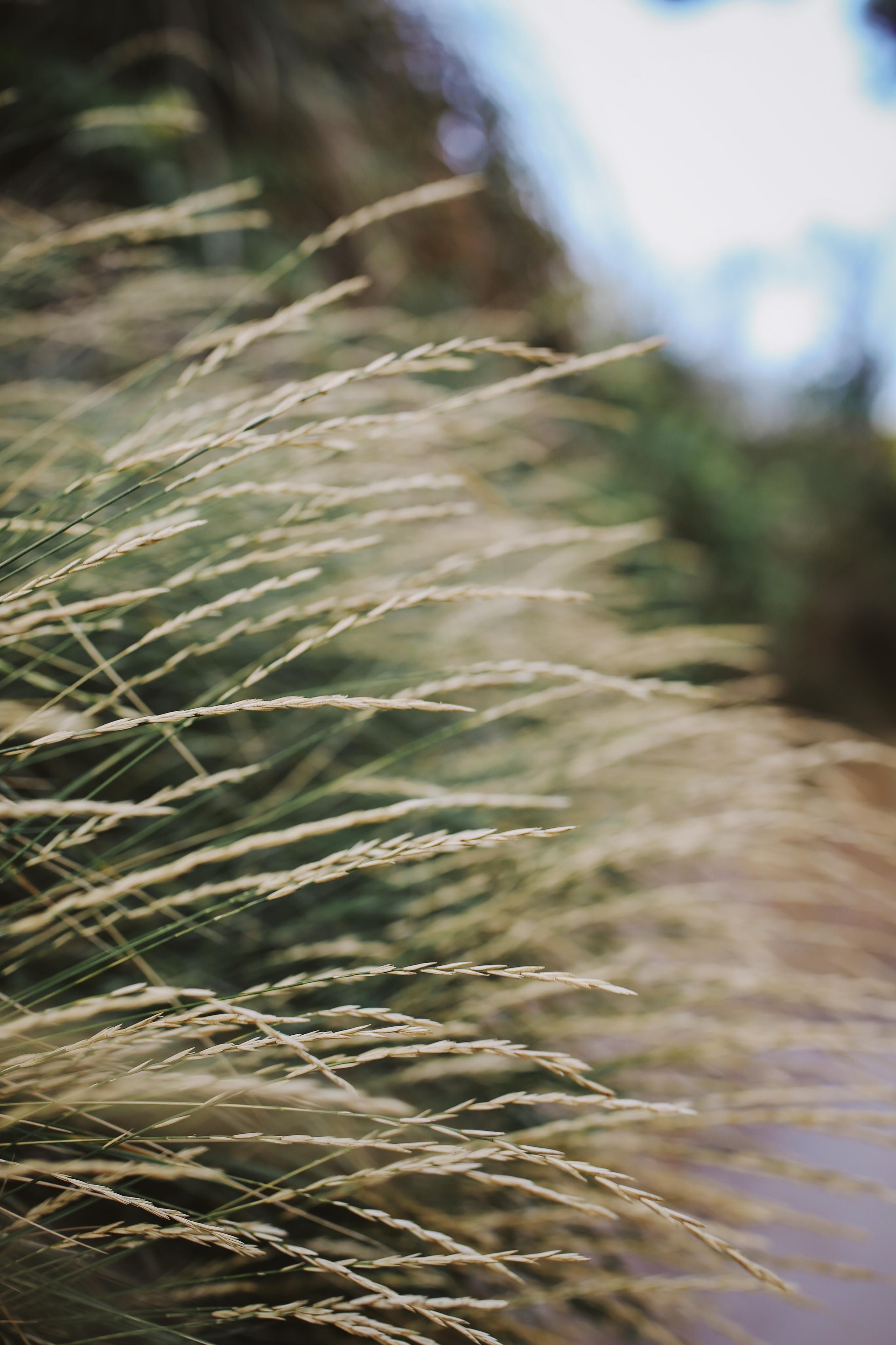 South Spain & France. Ekaterina Buneeva Photography