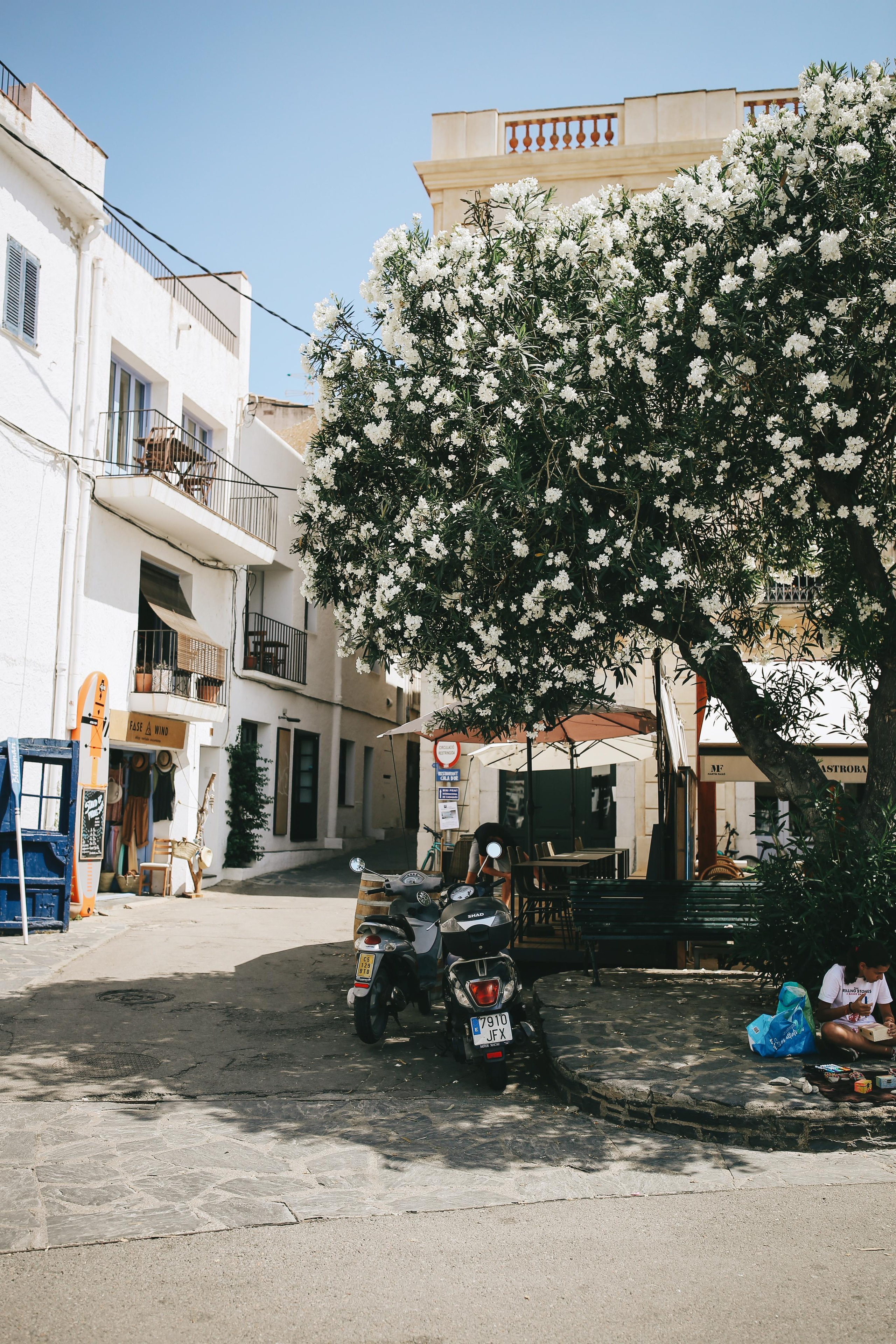 South Spain & France. Ekaterina Buneeva Photography
