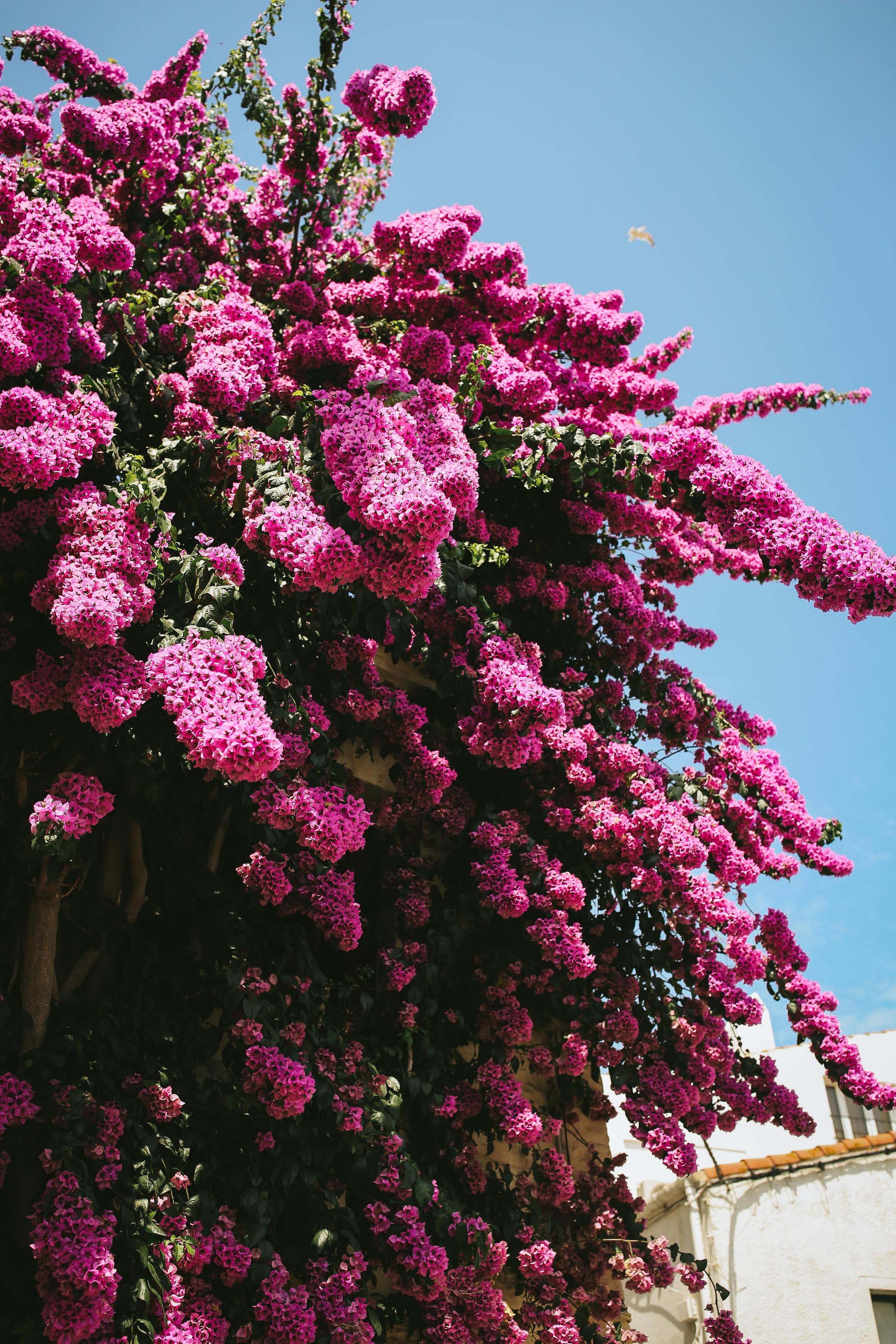 South Spain & France. Ekaterina Buneeva Photography