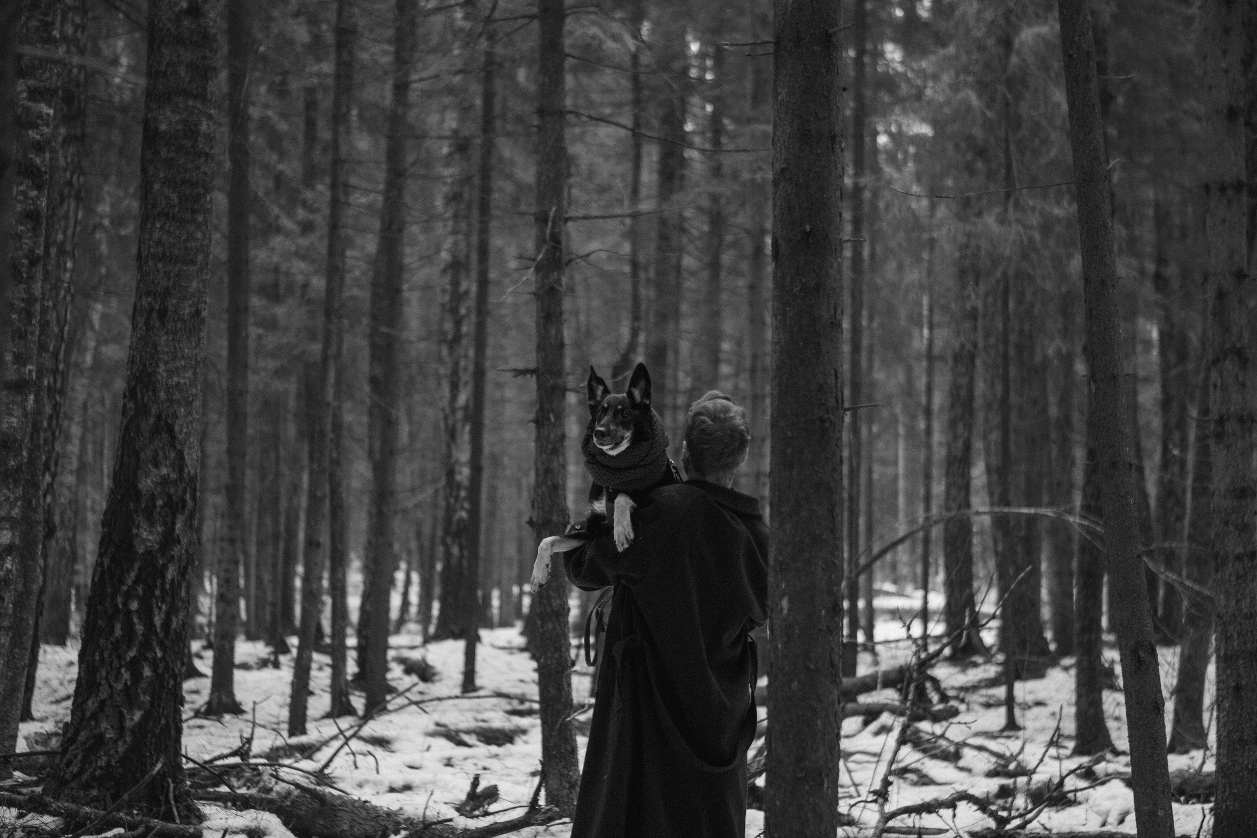 A cinematic tale of true love and unbreakable friendship between a man and a dog. Portrait, family and pet photographer in Cyprus, Ksenia Bourdelle