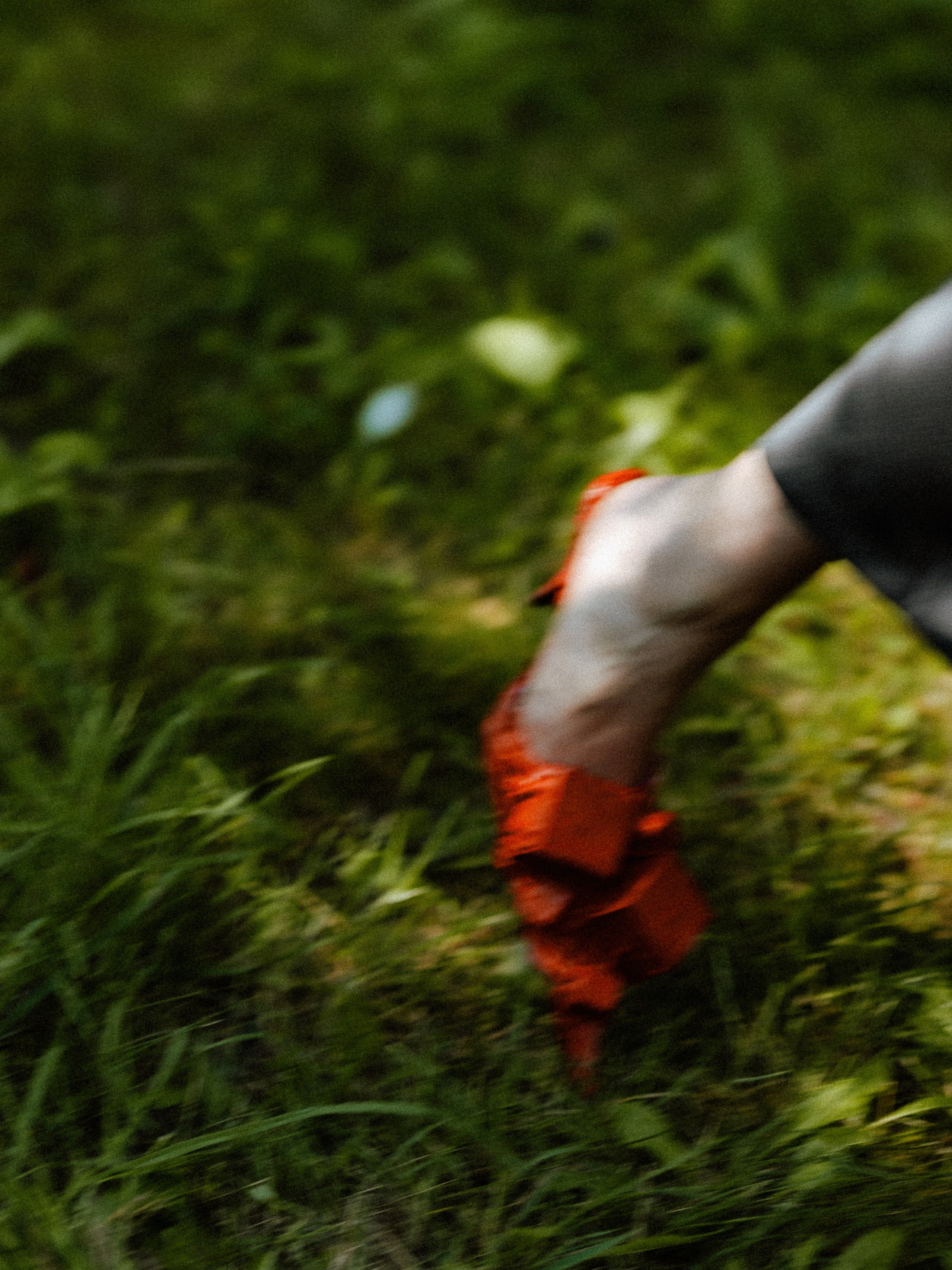 Полина & Герман. Фотограф Serj Ganso