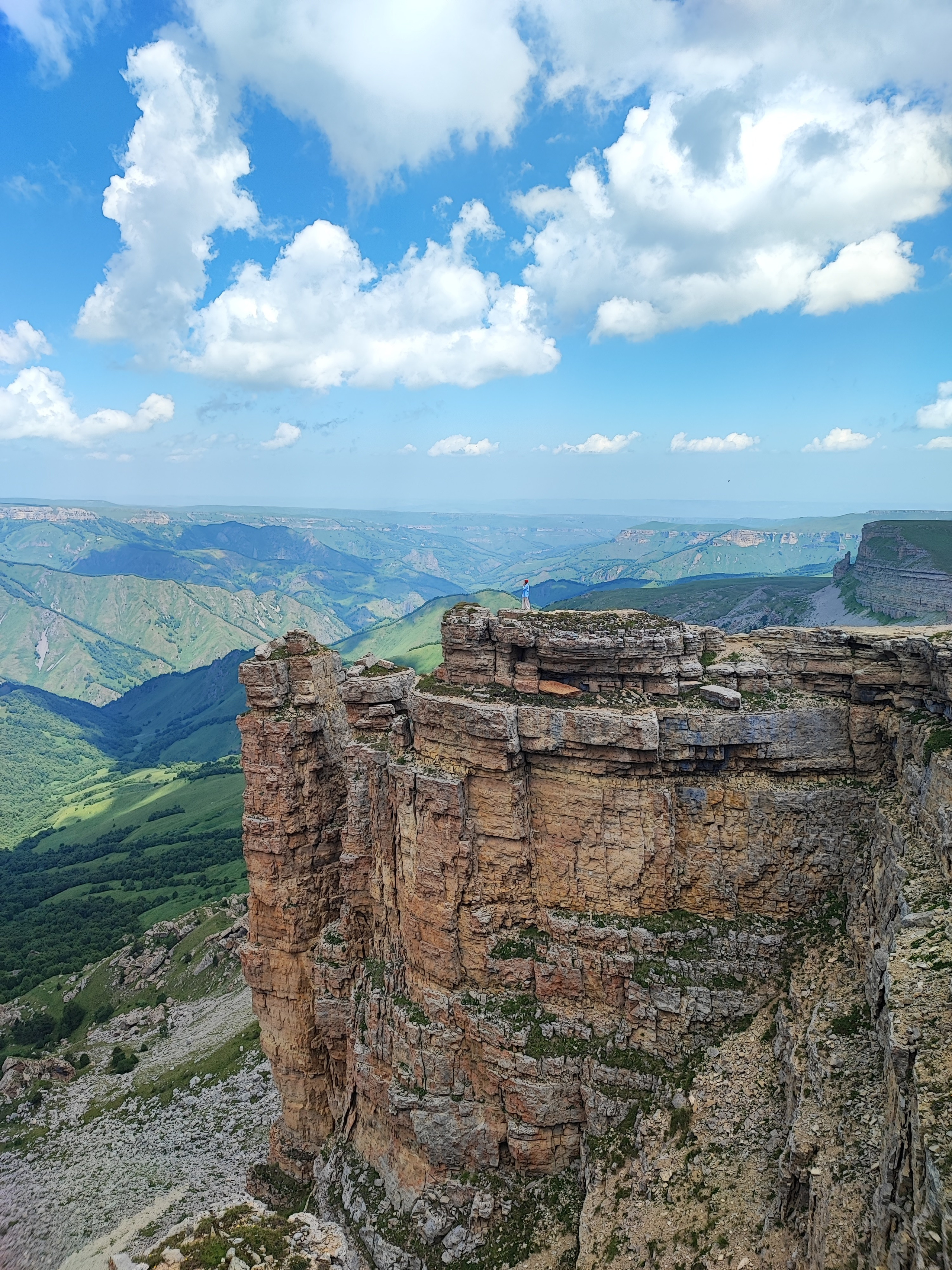 Намобилкус кавказский. Репортажный фотограф Алексей Пирязев