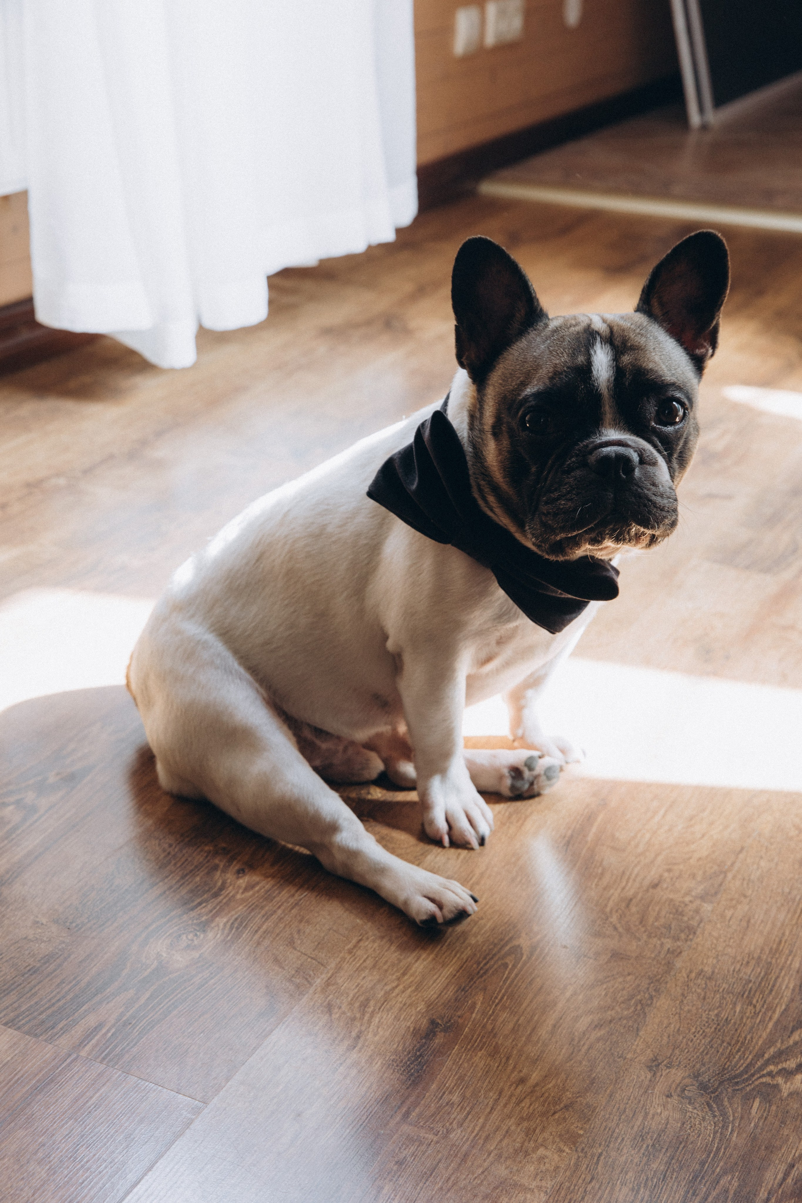 Валерия и Николай. Свадебный и портретный фотограф в Калининграде и Москве Марк Юдинцев