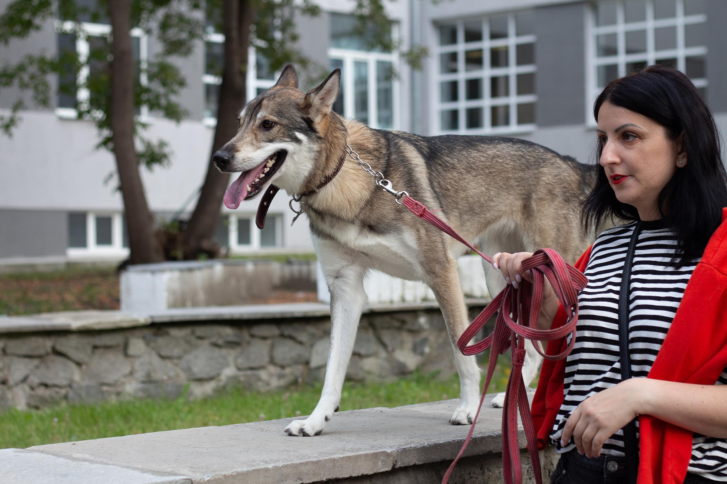 Фотопрогулка. Юлия и собака Сима. Фотограф в Екатеринбурге Пойгина Елена