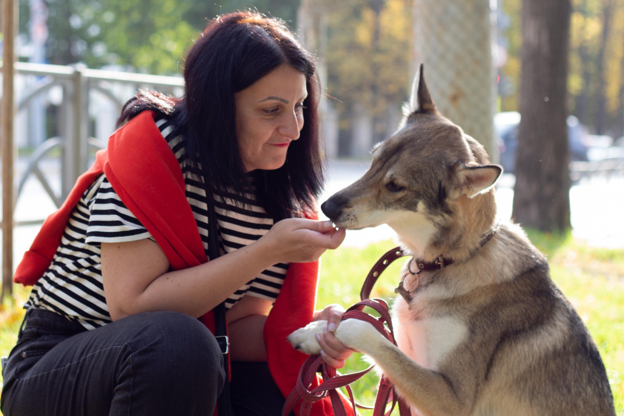Фотопрогулка. Юлия и собака Сима. Фотограф в Екатеринбурге Пойгина Елена