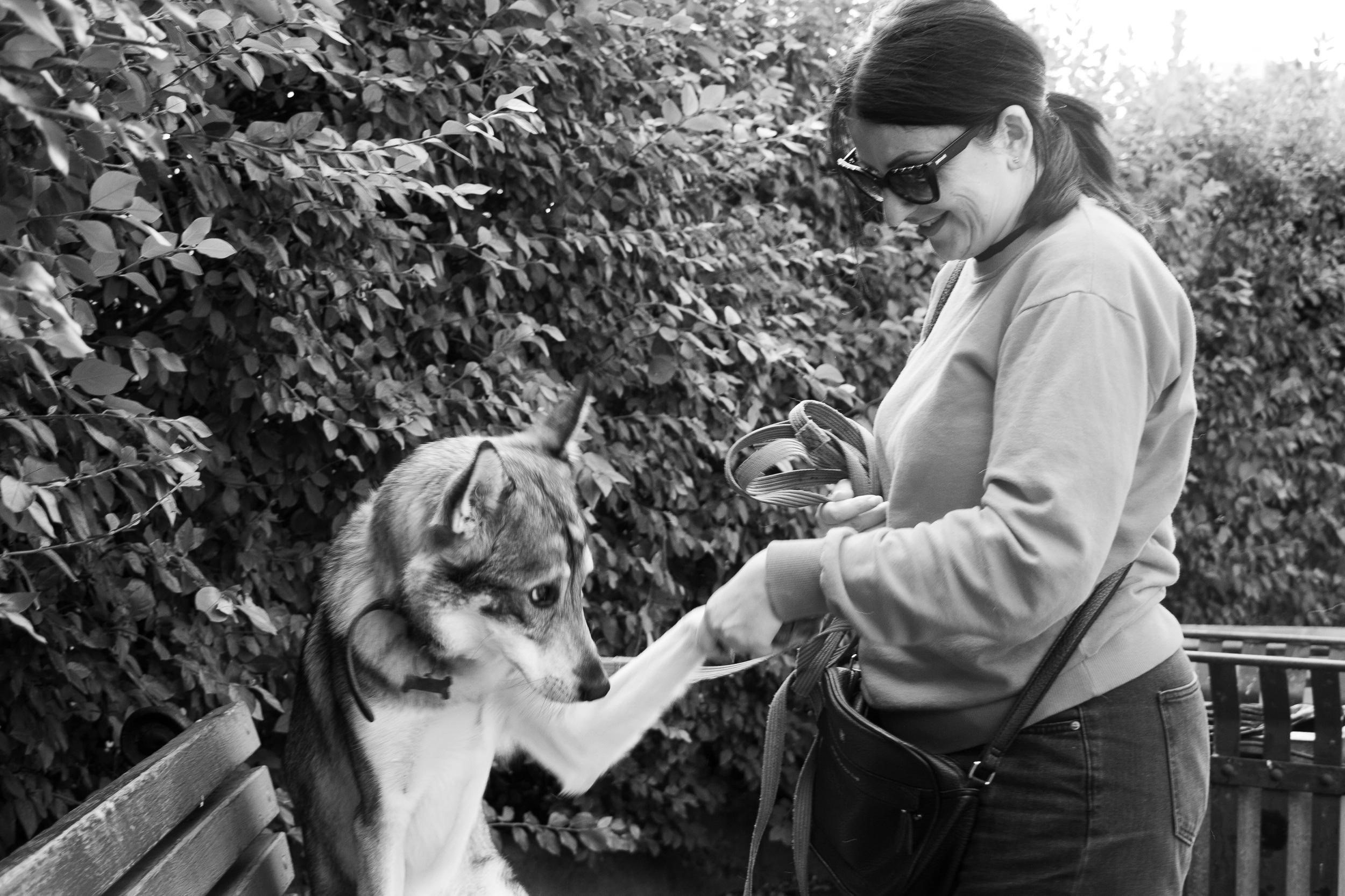 Фотопрогулка. Юлия и собака Сима. Фотограф в Екатеринбурге Пойгина Елена