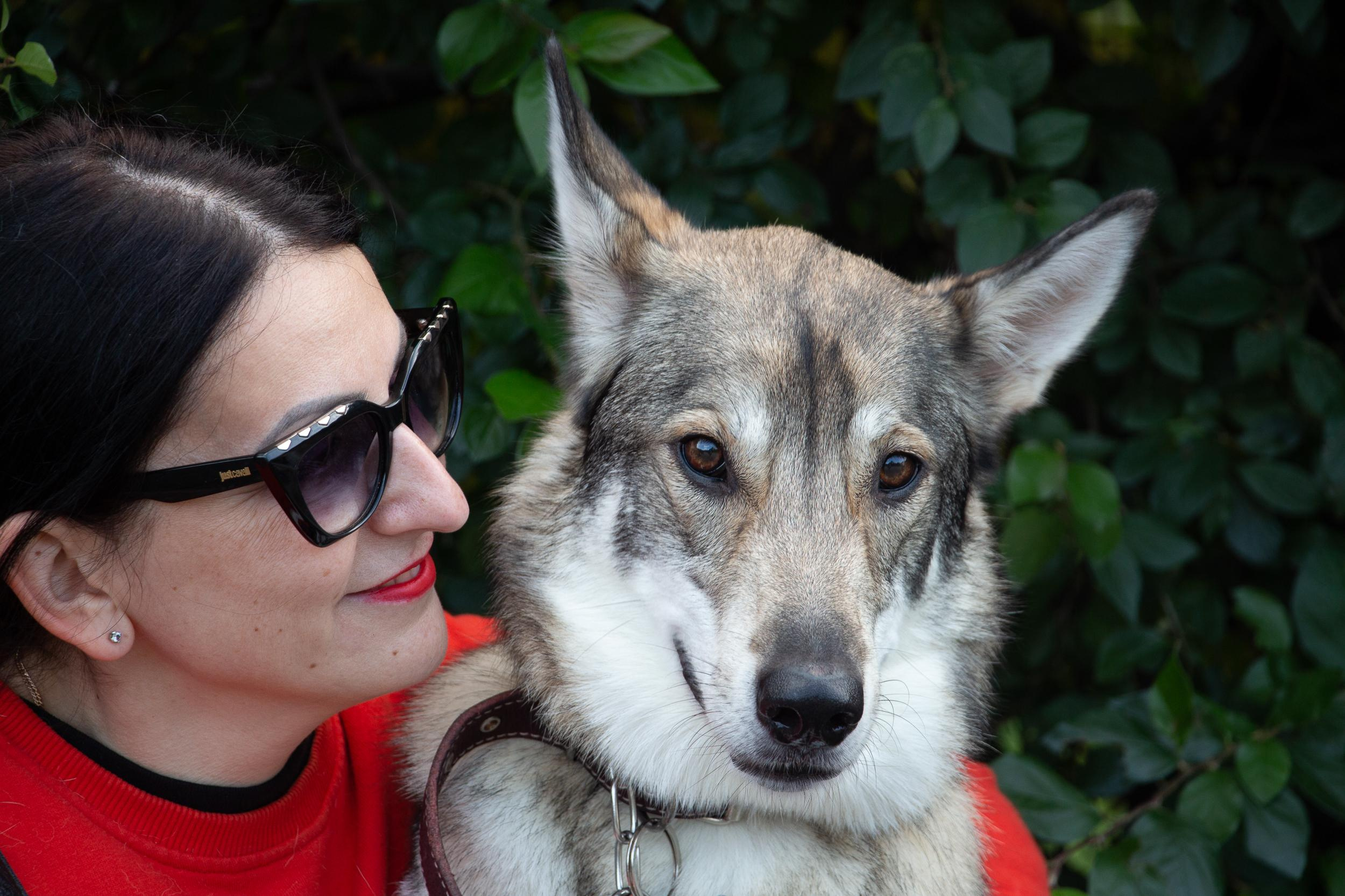 Фотопрогулка. Юлия и собака Сима. Фотограф в Екатеринбурге Пойгина Елена