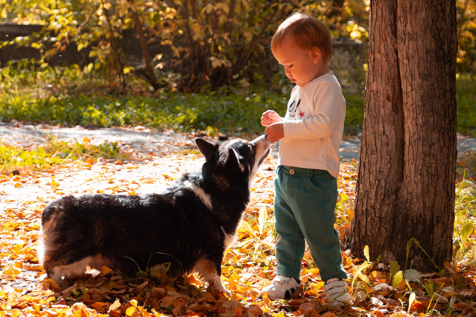 Золотая осень. Мария, Александр и Вова. Фотограф в Екатеринбурге Пойгина Елена