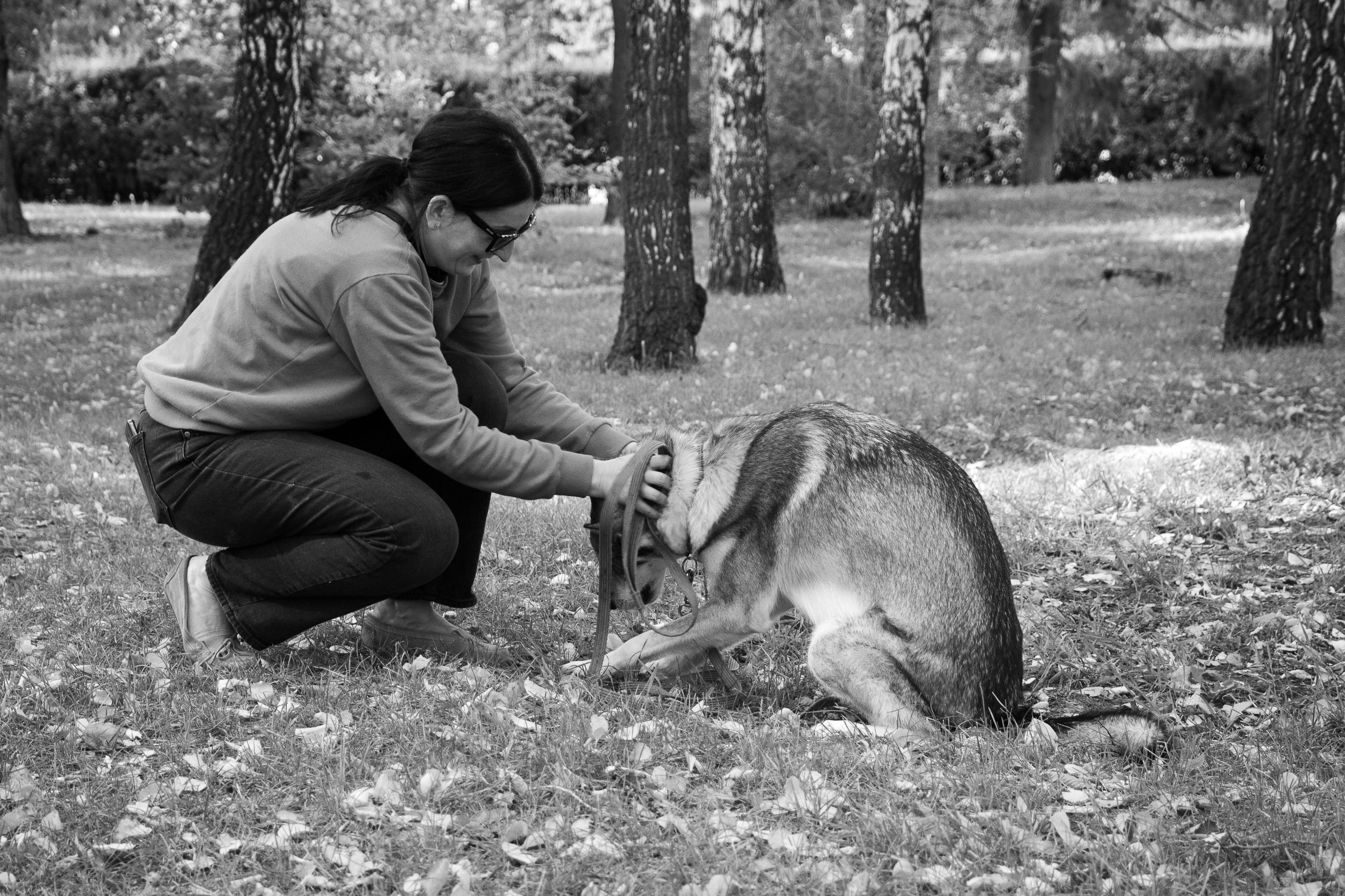 Фотопрогулка. Юлия и собака Сима. Фотограф в Екатеринбурге Пойгина Елена