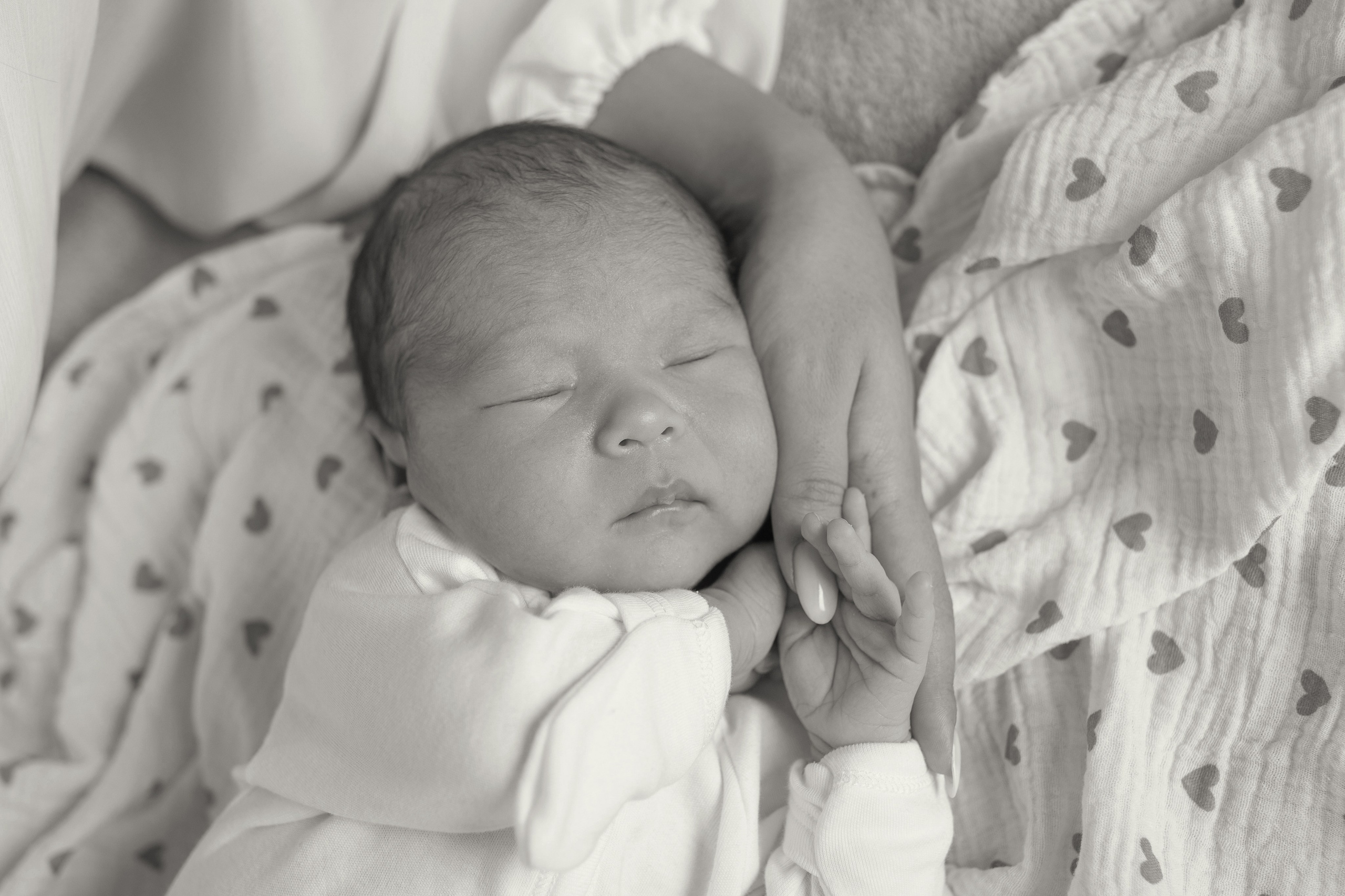 Life. Фотограф новорожденных и беременности в Хабаровске Варвара Титаева