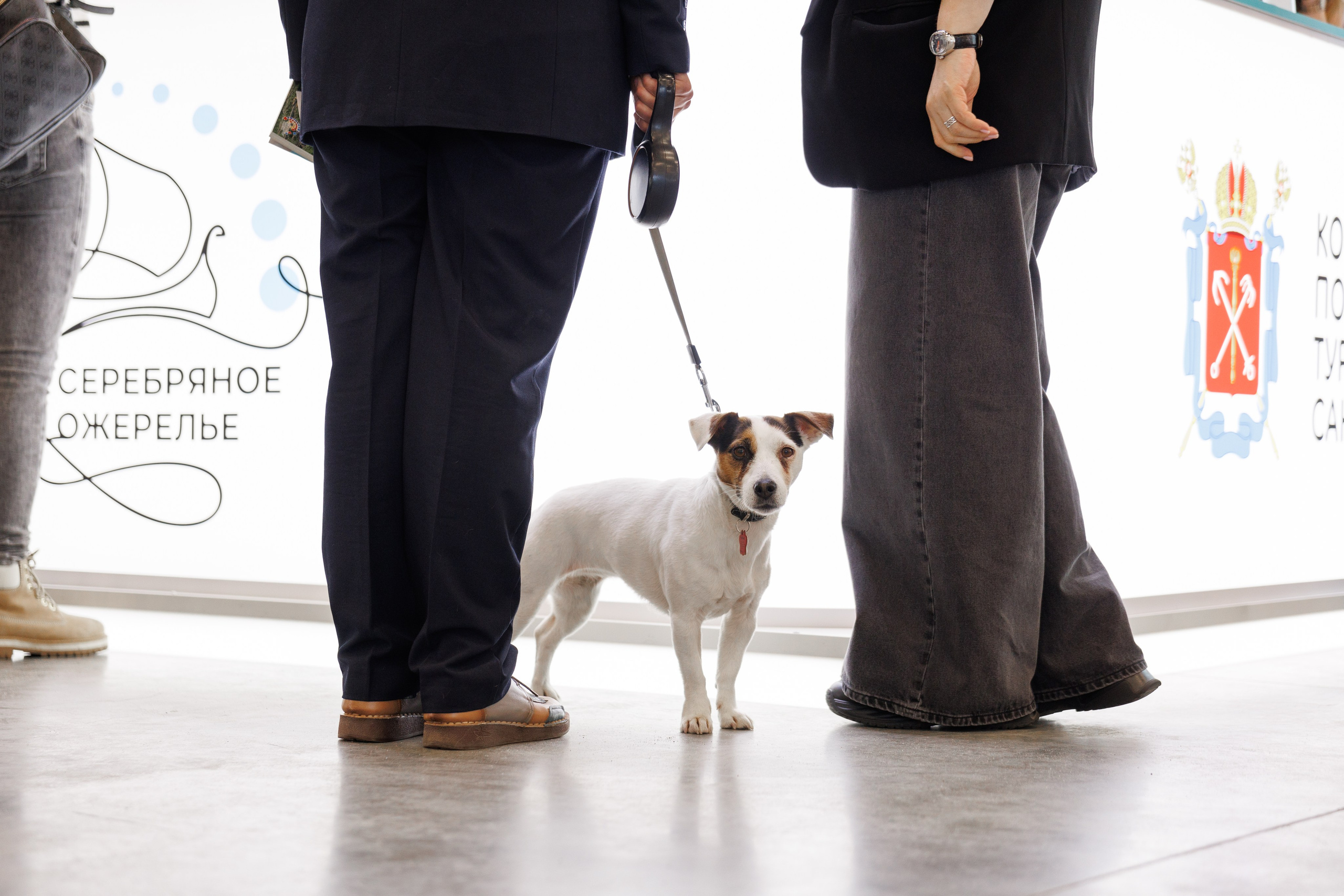 Интурмаркет в Нижнем Новгороде. Репортажный фотограф Нижний Новгород. Фотограф в Нижнем Новгороде Александр Хамов