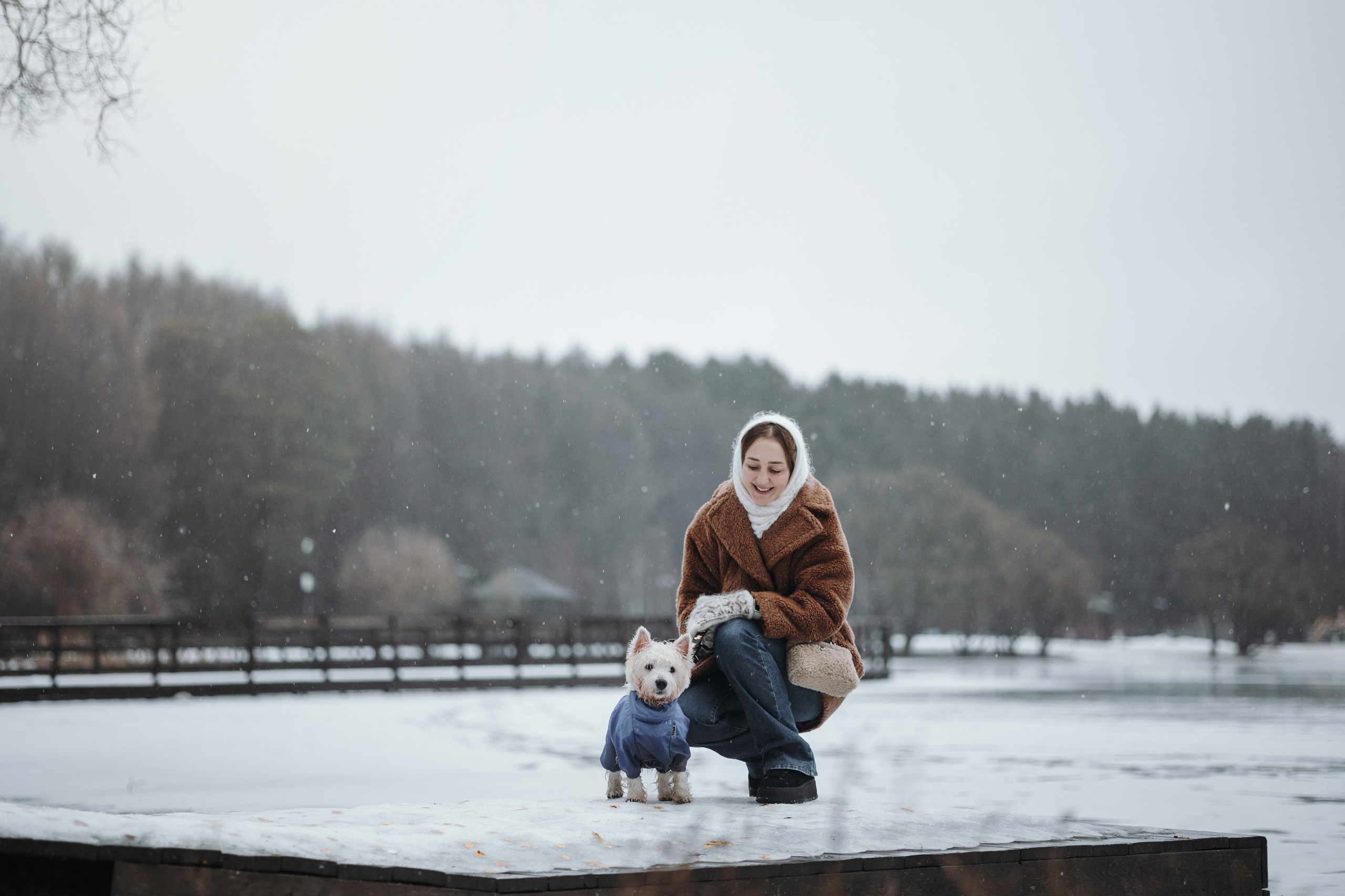 Шелби, Ватсон и ребята. Фотограф — Анималист | Санкт-Петербург
