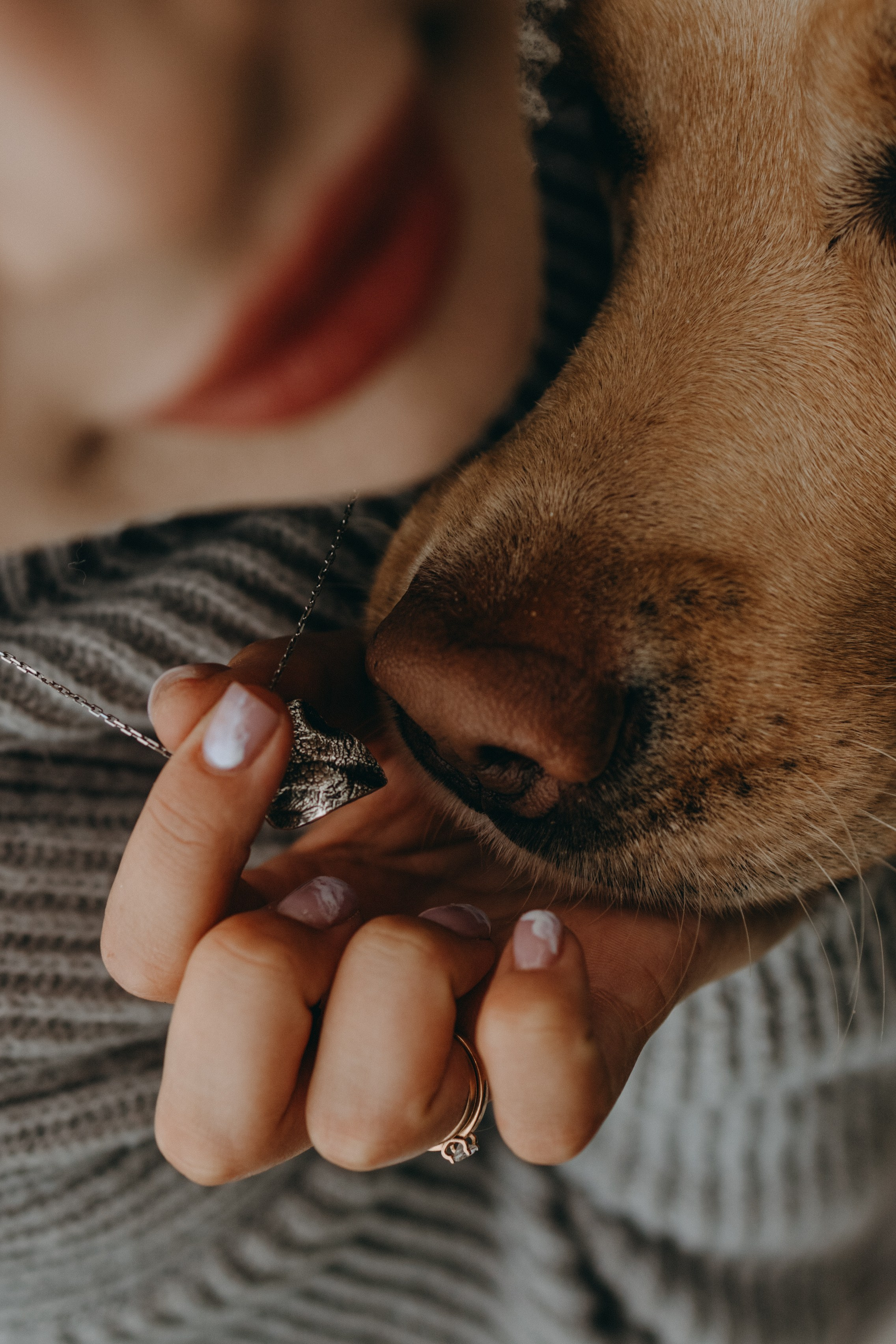 Наташа и Шани. Фотограф — Анималист | Санкт-Петербург