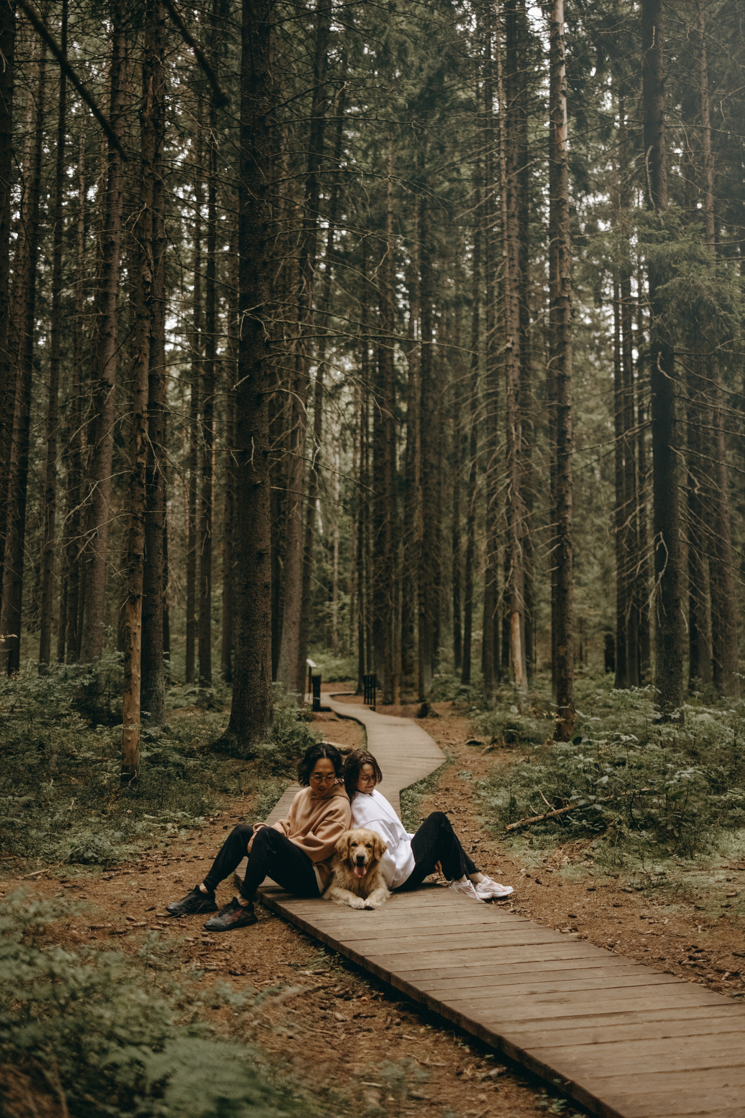 Фоси и его семьи. Фотограф — Анималист | Санкт-Петербург