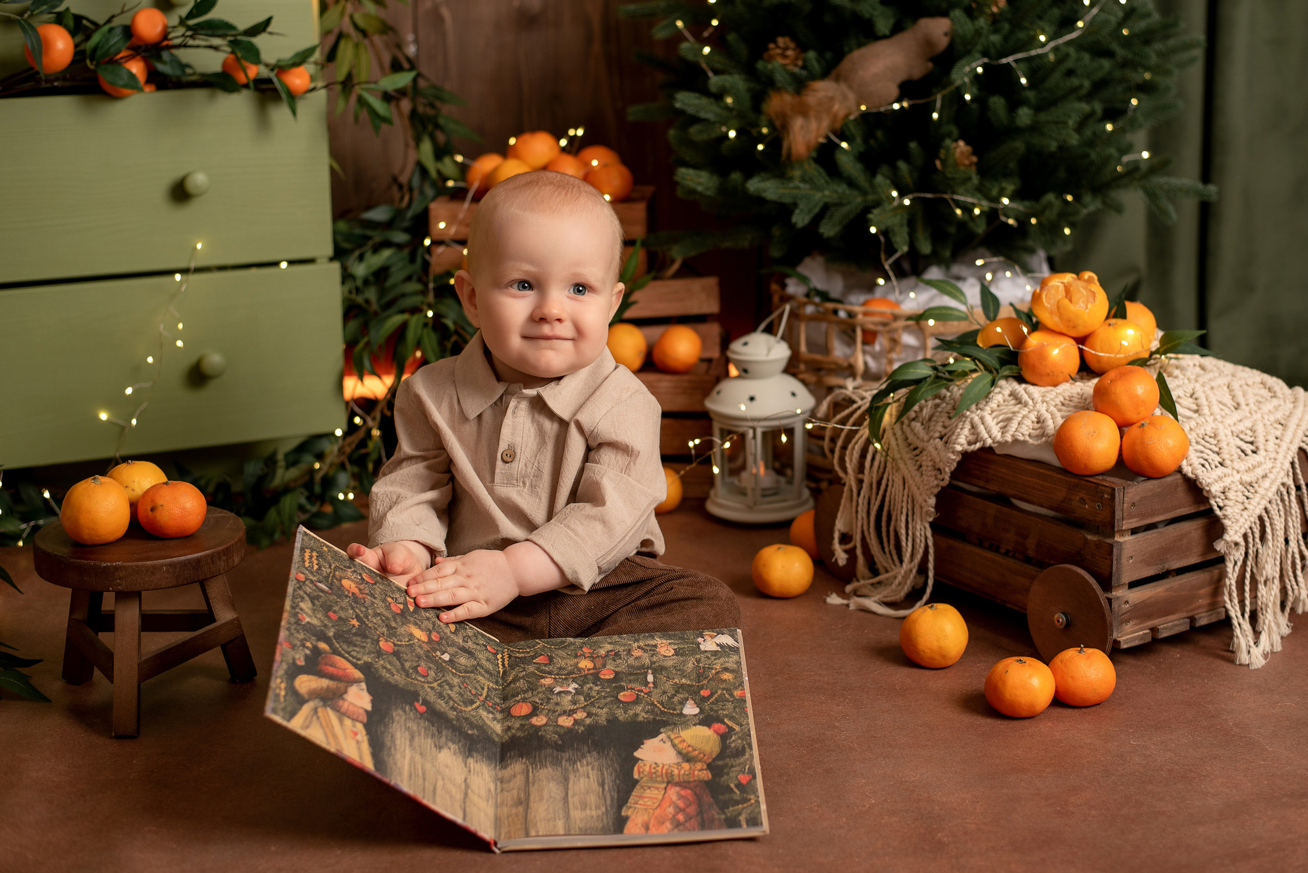 Лёвушка — мандаринки 2025-2026. Семейный и детский фотограф Наталья Горда