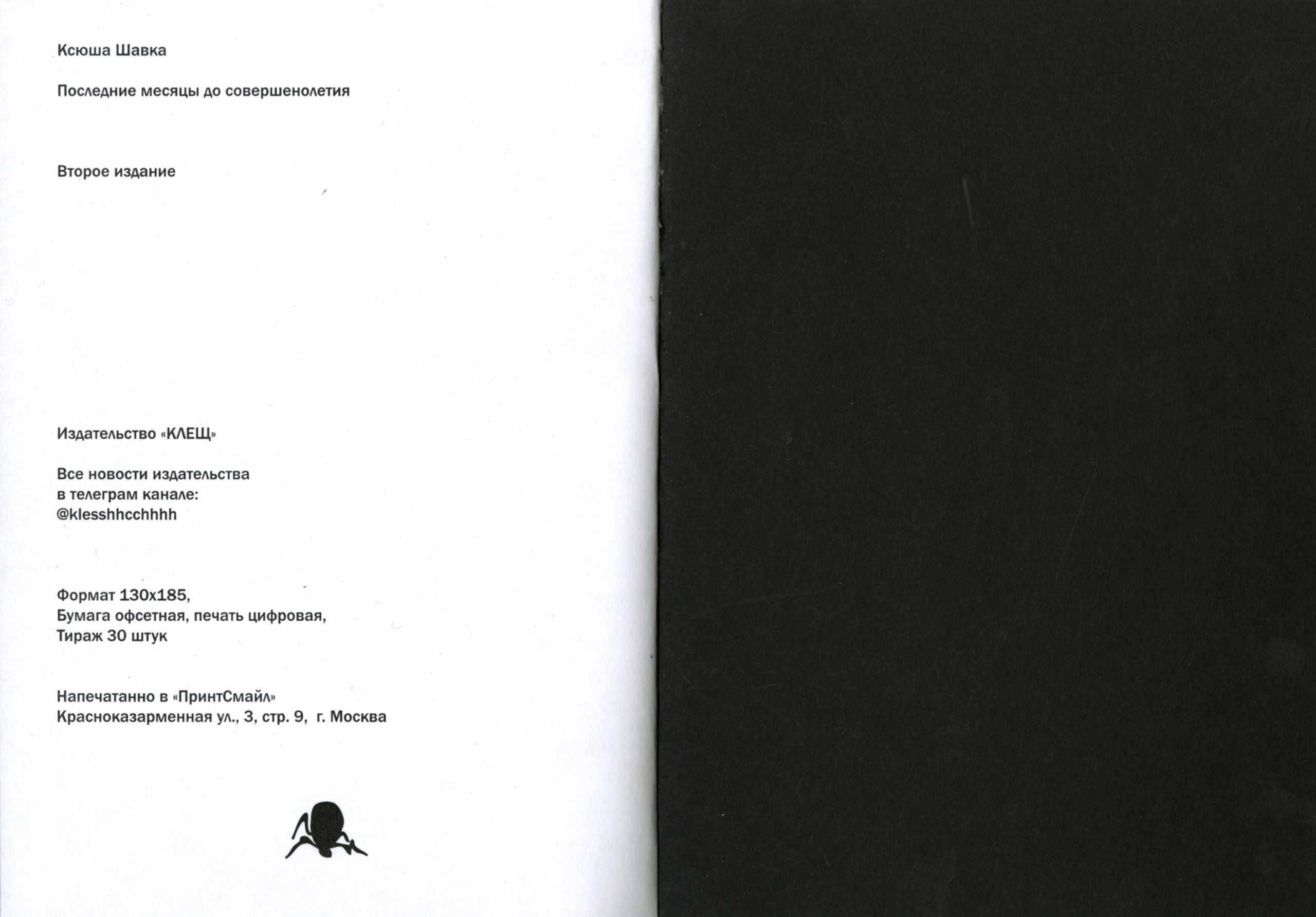 ПОСЛЕДНИЕ МЕСЯЦЫ ДО СОВЕРШЕННОЛЕТИЯ. Кирилл Грибов, современный художник из Москвы