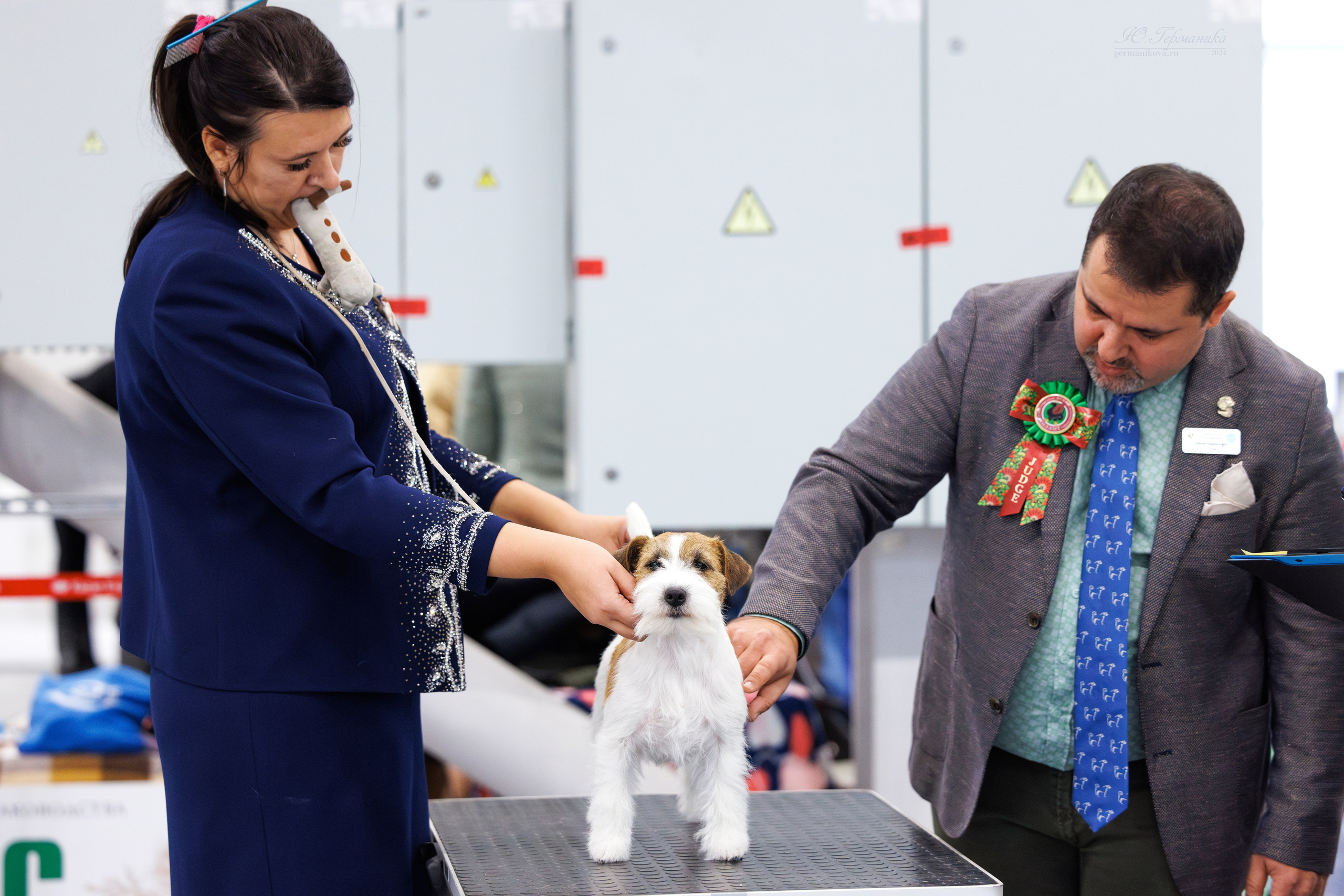 Казань Зилант 30-01.12 2024. Фотограф-анималист Юлия Германика