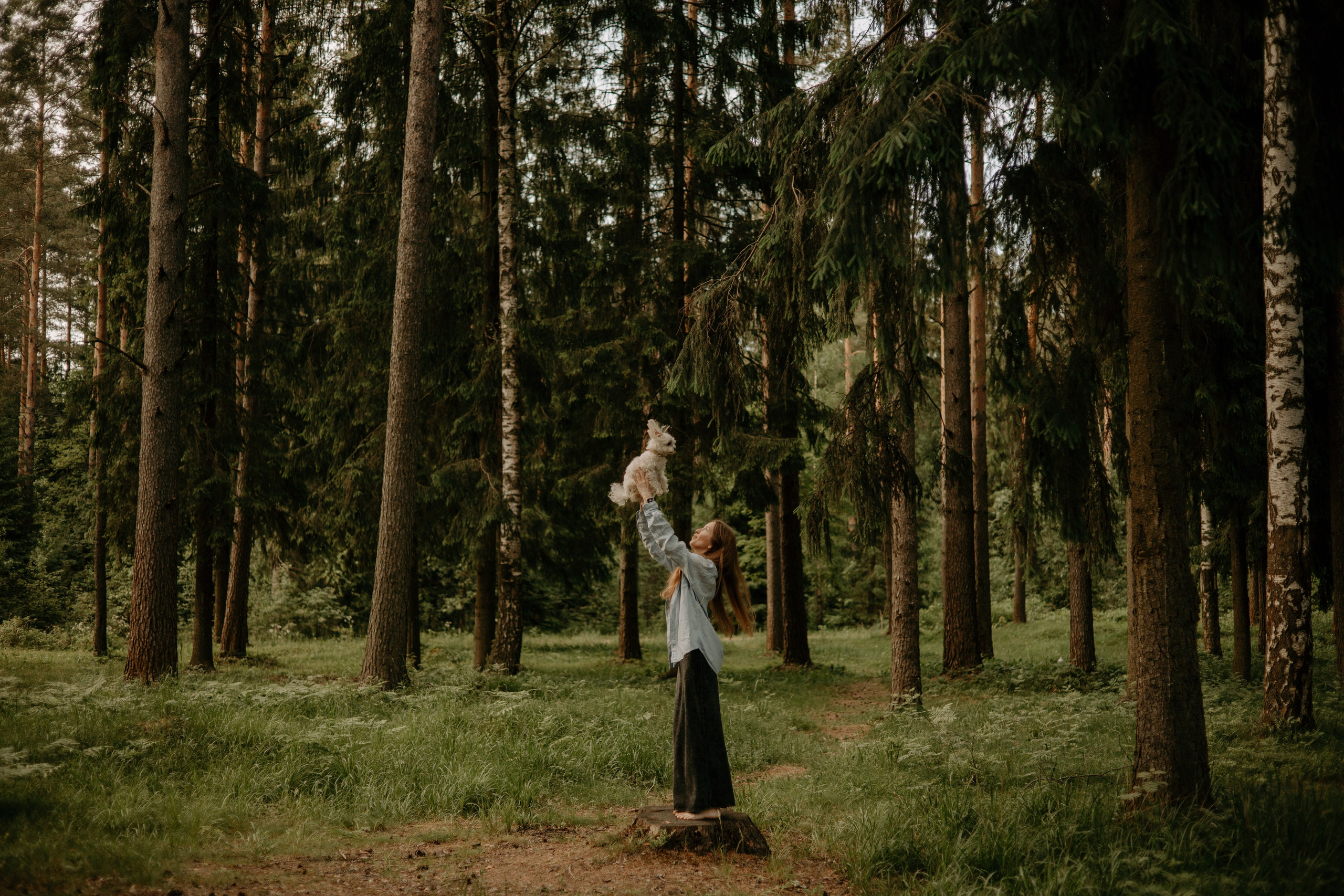 Оля и Джастин. Фотограф — анималист •love-story•|Санкт-Петербург