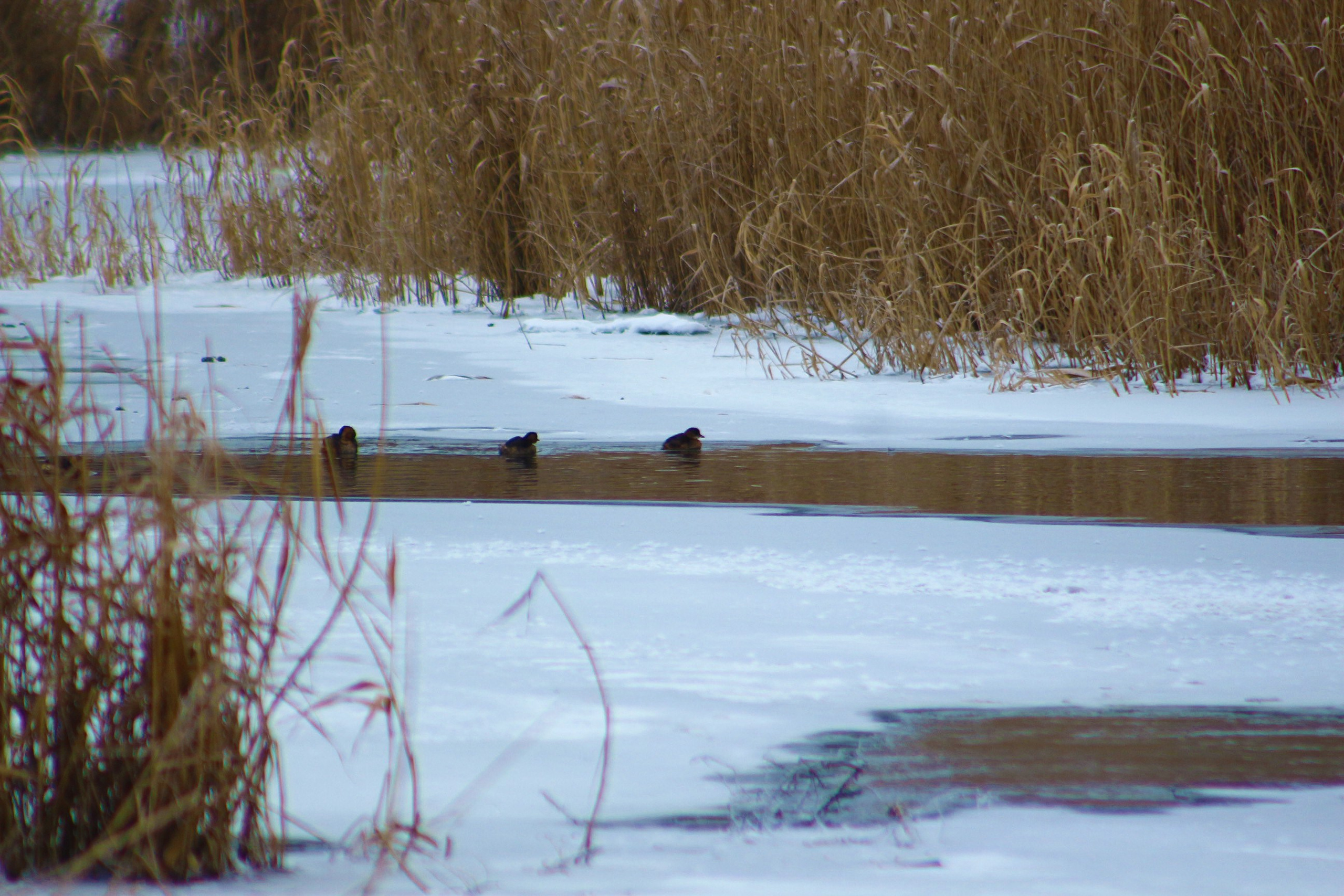 Пейзажи. Фотограф из Донецка Александр Турко