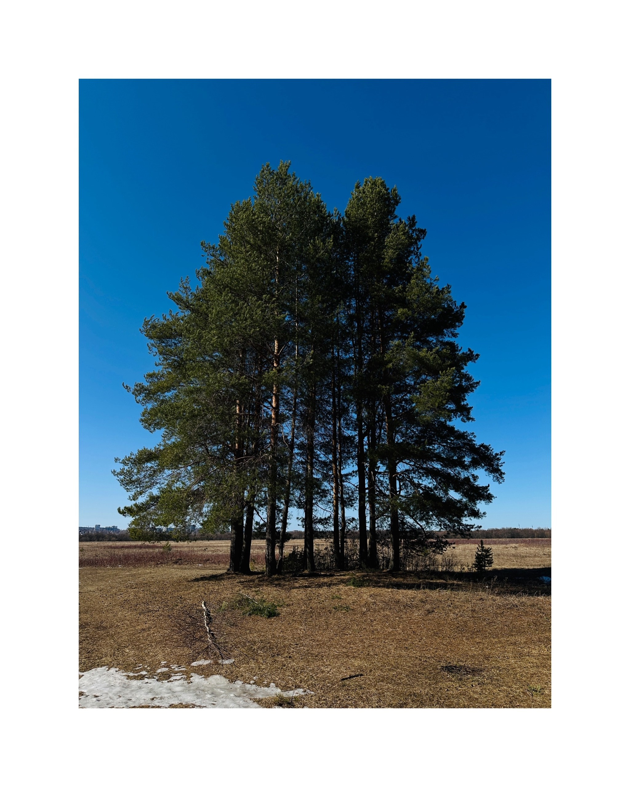 Фотограф г. Сыктывкар